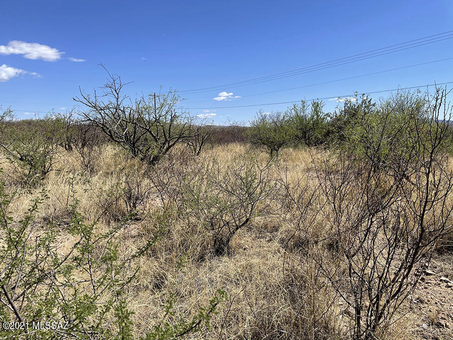 Rio Rico Estates 10 - Land