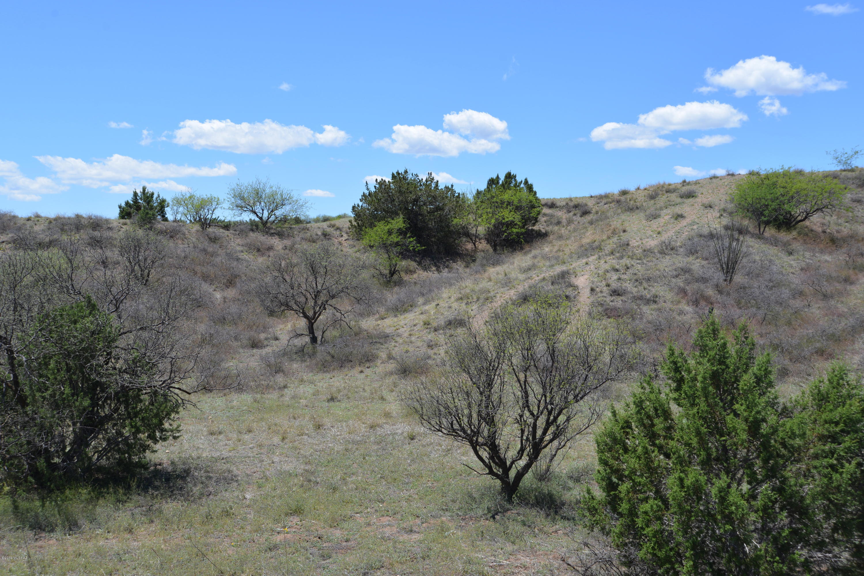 Lazy RR Ranch Estates - Land