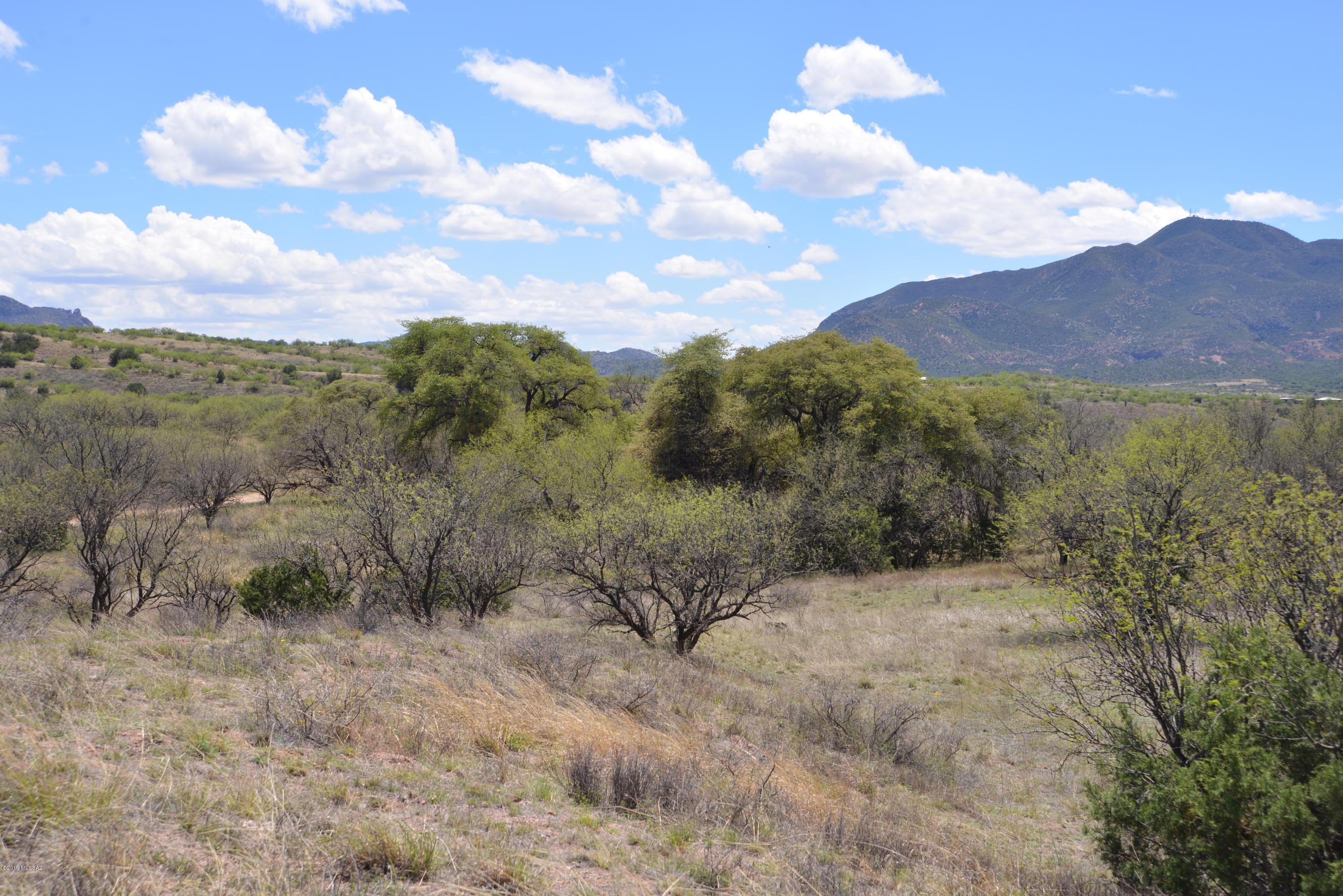 Lazy RR Ranch Estates - Land