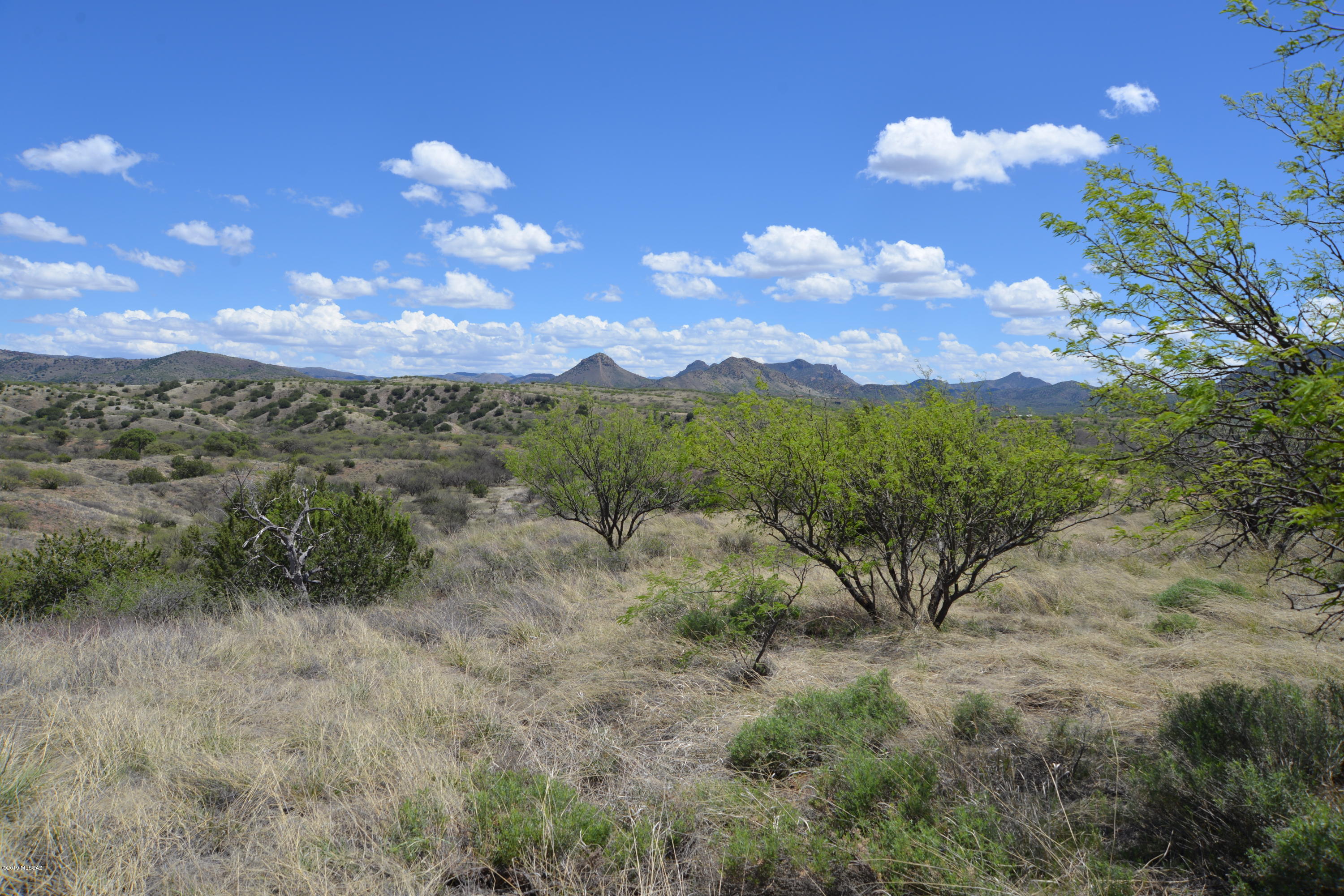 Lazy RR Ranch Estates - Land