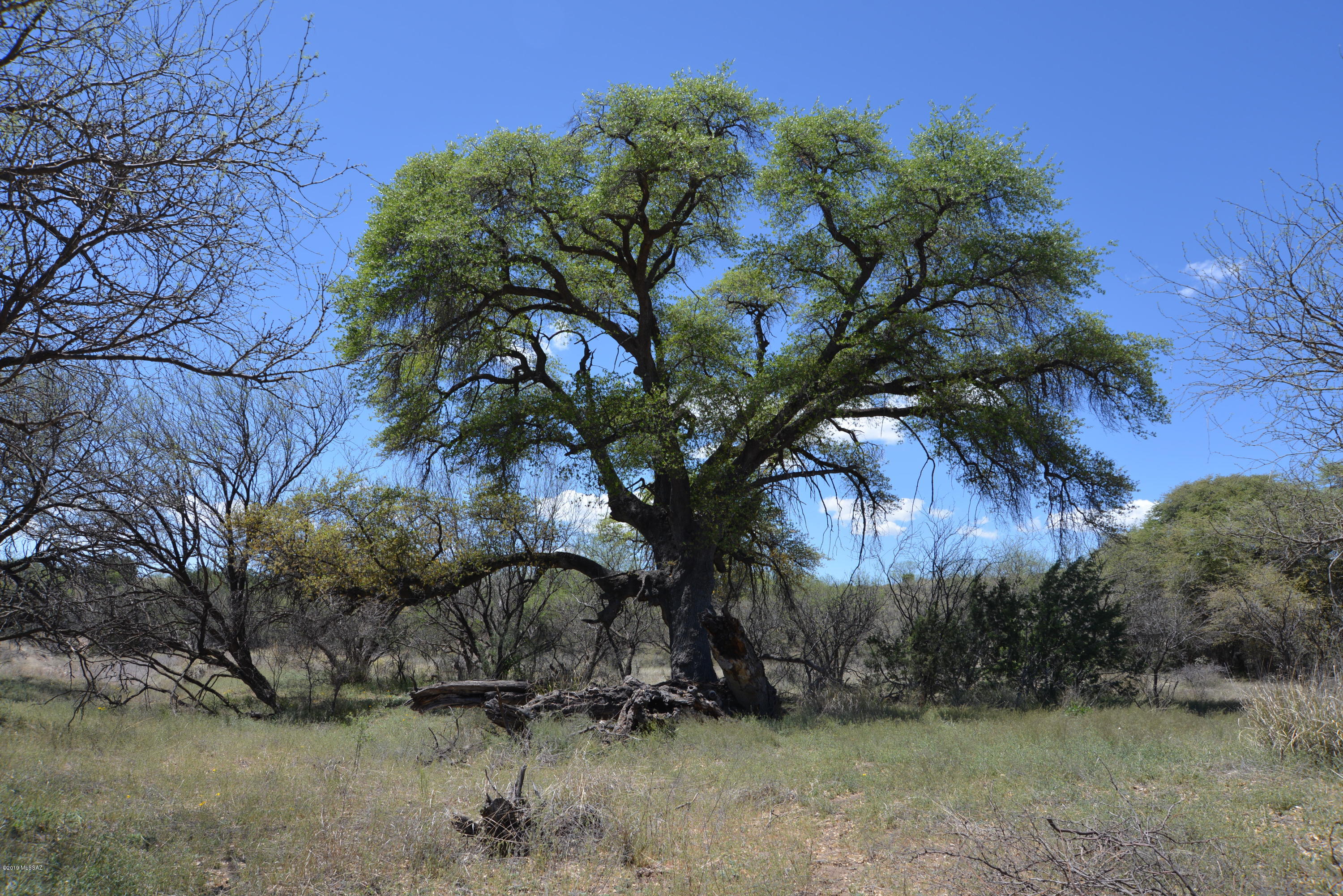 Lazy RR Ranch Estates - Land