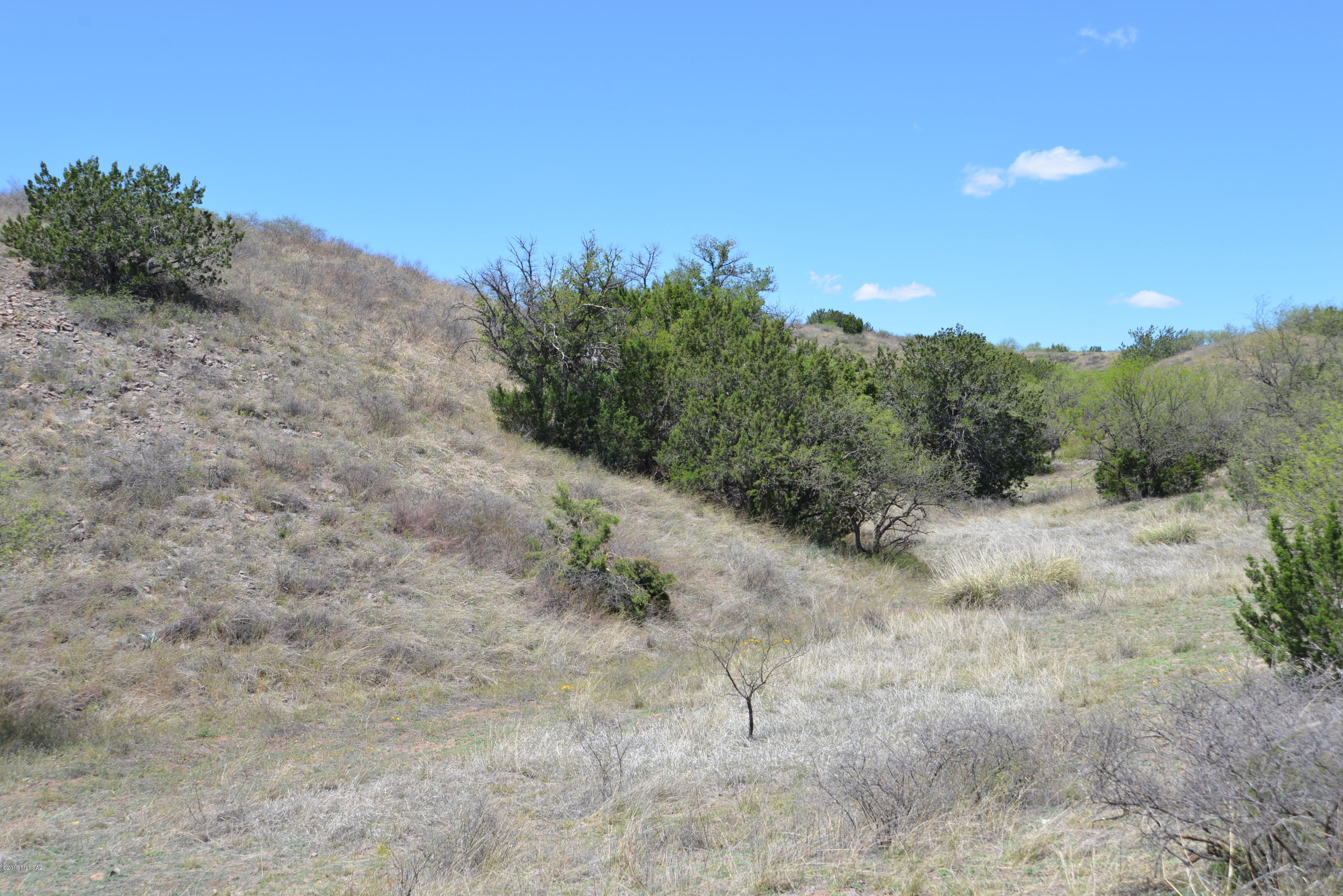 Lazy RR Ranch Estates - Land