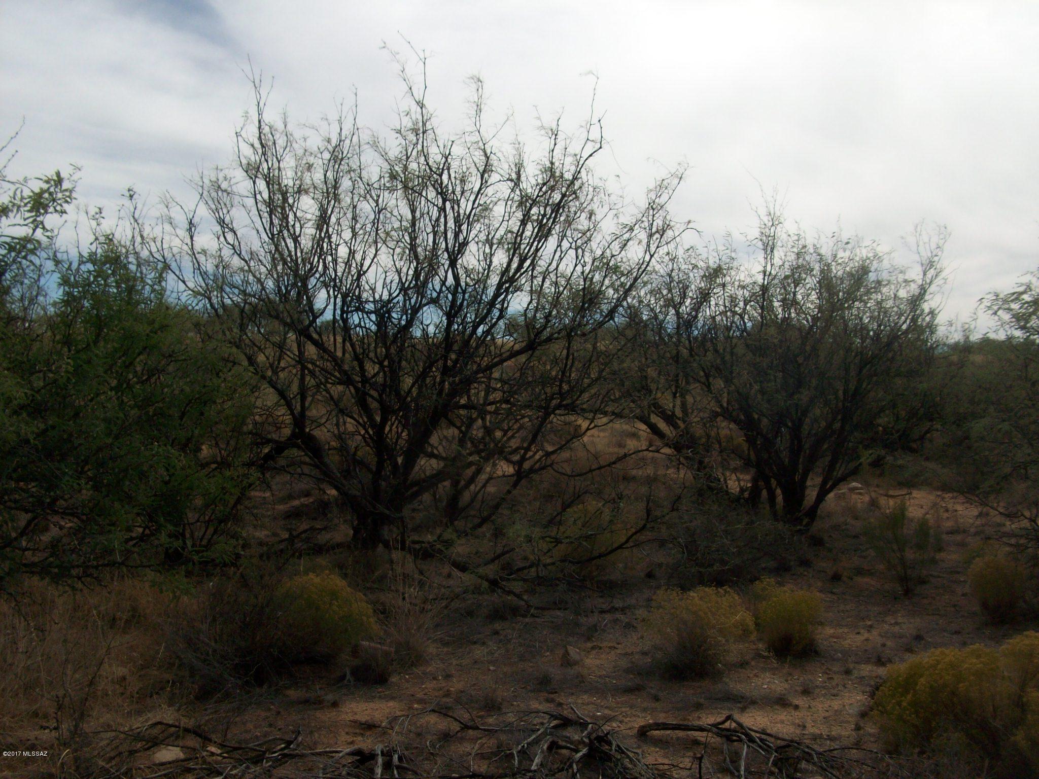 Out Of Pima County - Land