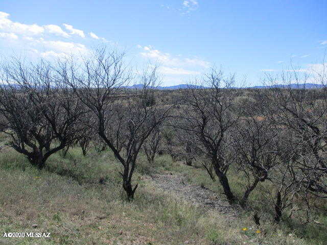 Corner Lot with lots of potential! 360 degree views!  Build your castle here!