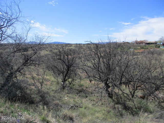 Rio Rico Estates 8 - Land