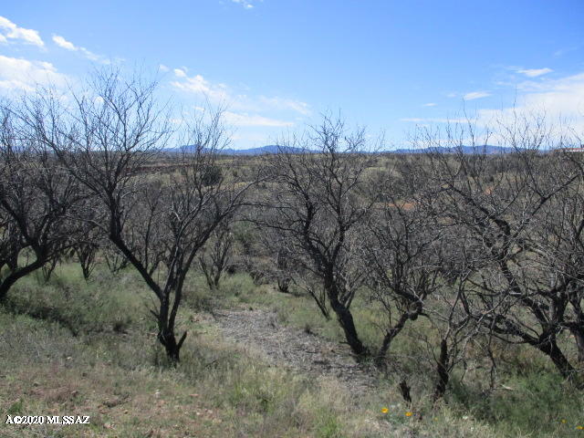 Rio Rico Estates 8 - Land