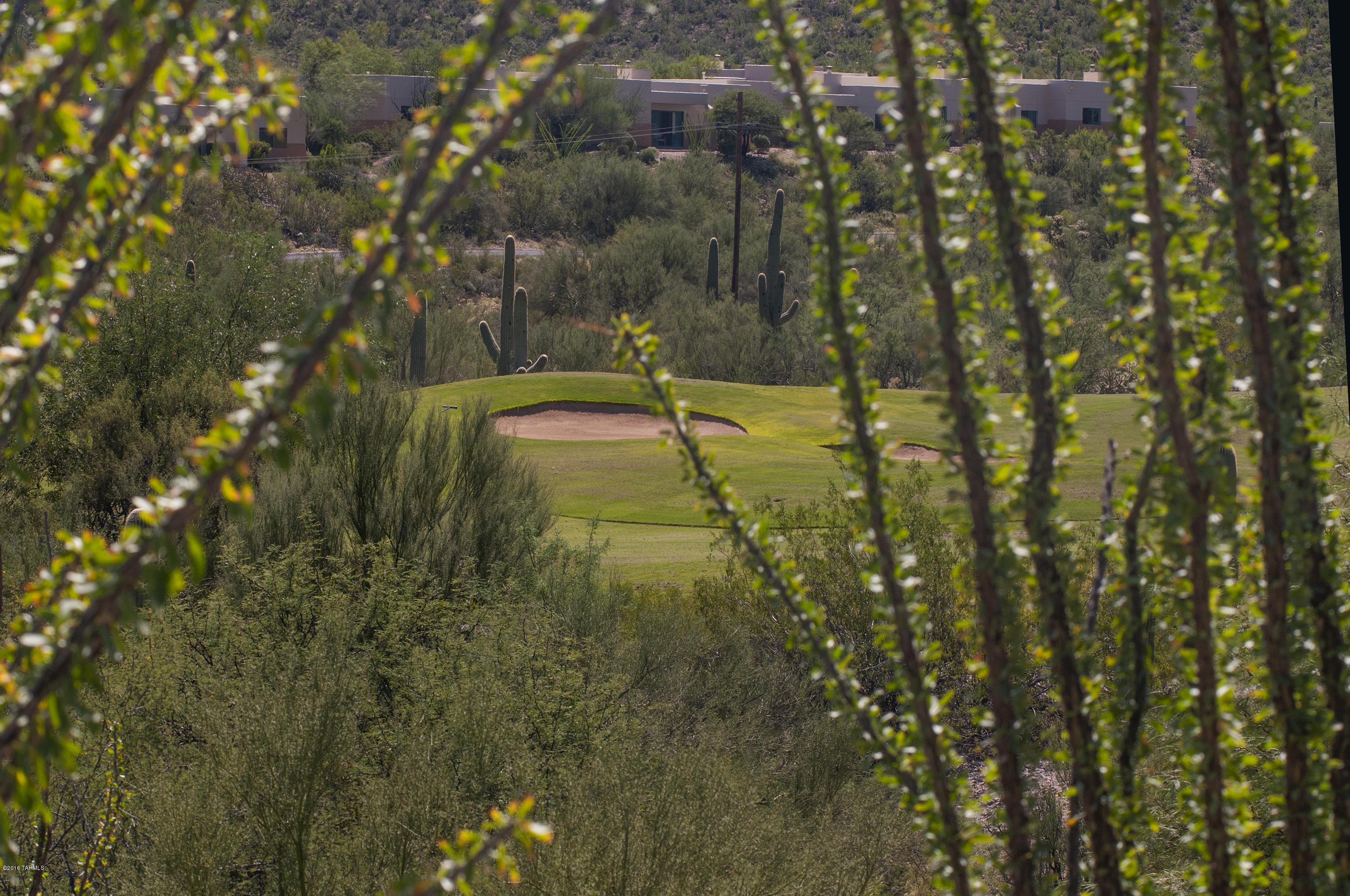 Tohono Ridge (1-21) - Land