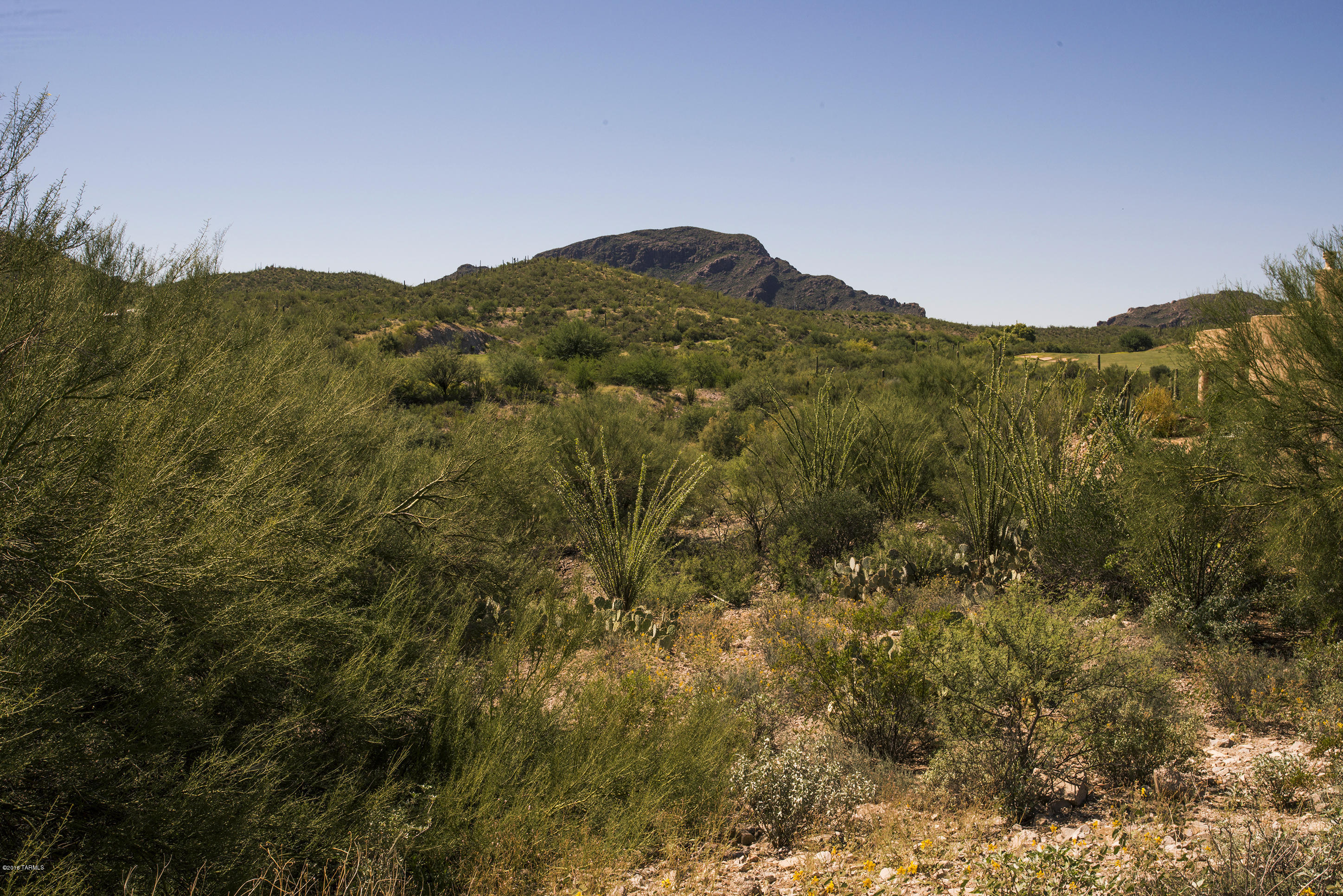 Tohono Ridge (1-21) - Land