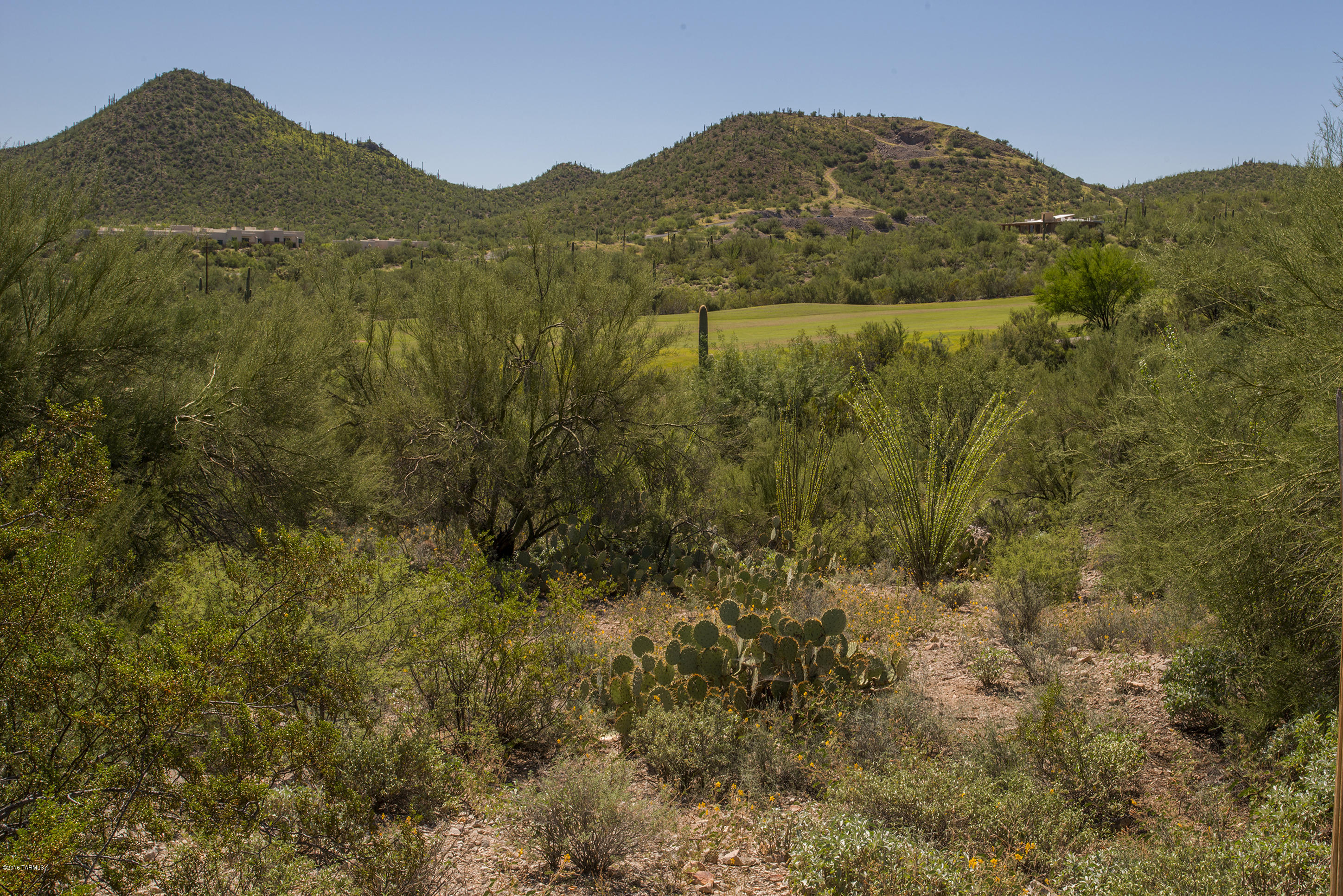 Tohono Ridge (1-21) - Land