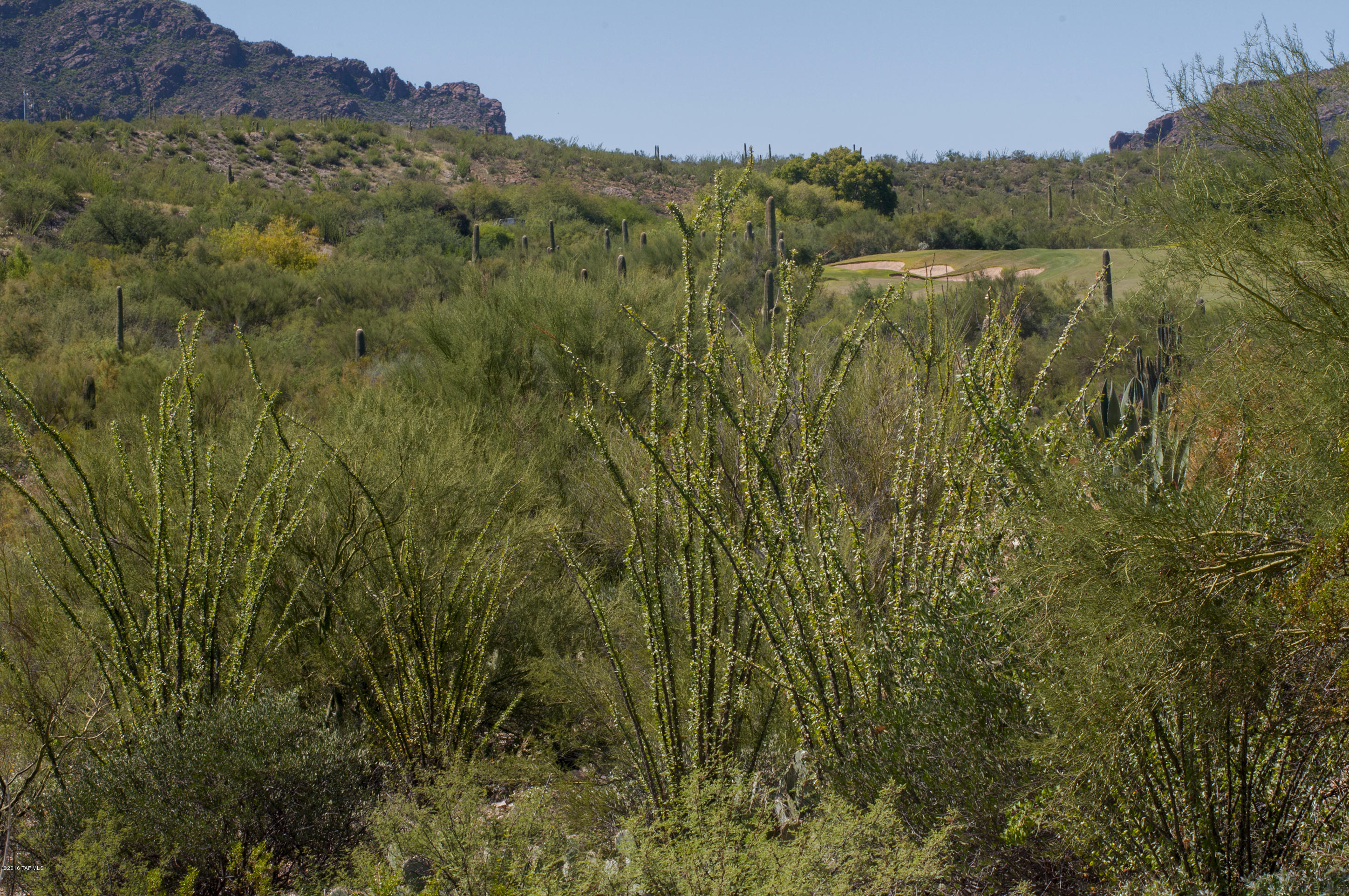 Tohono Ridge (1-21) - Land