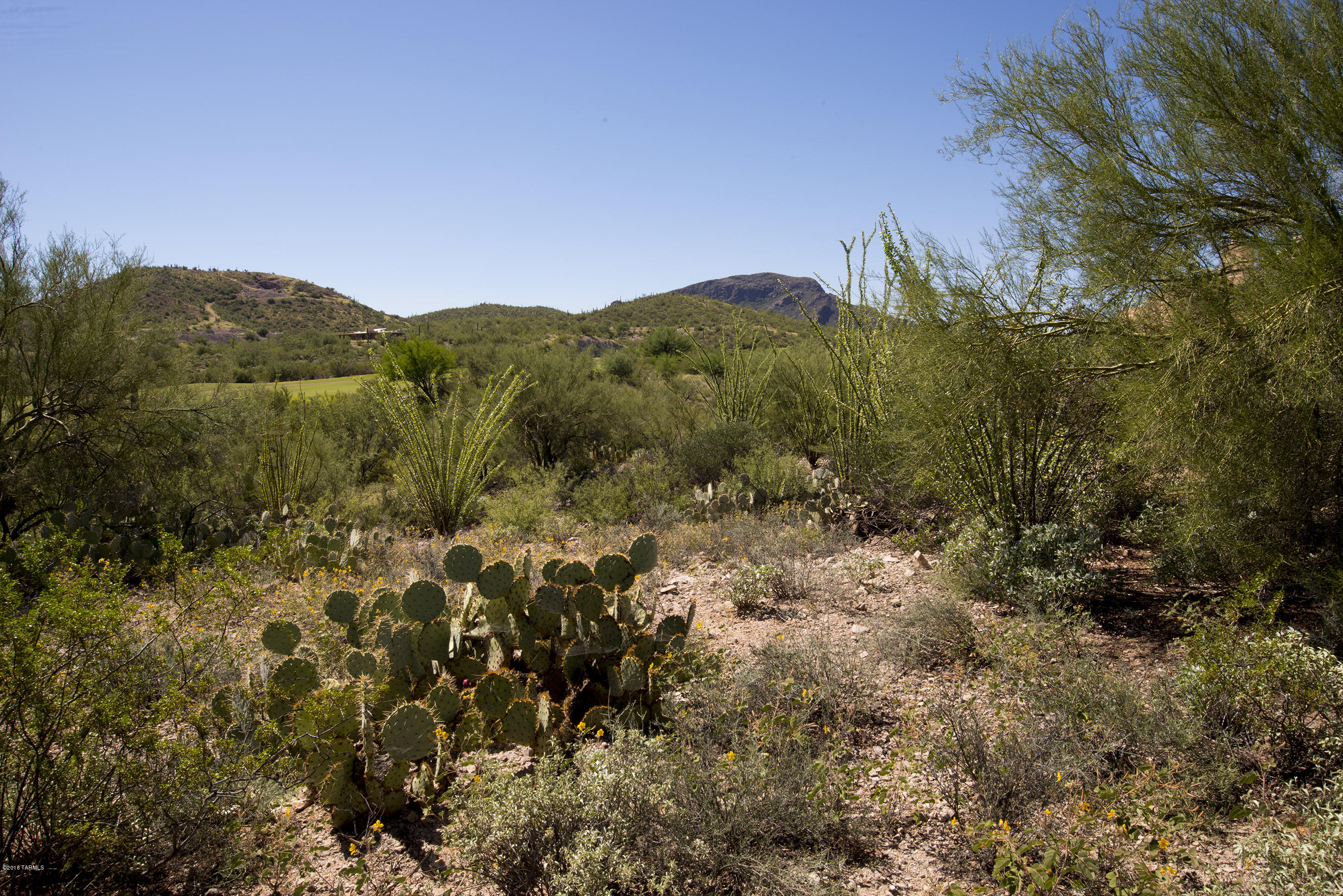 Tohono Ridge (1-21) - Land