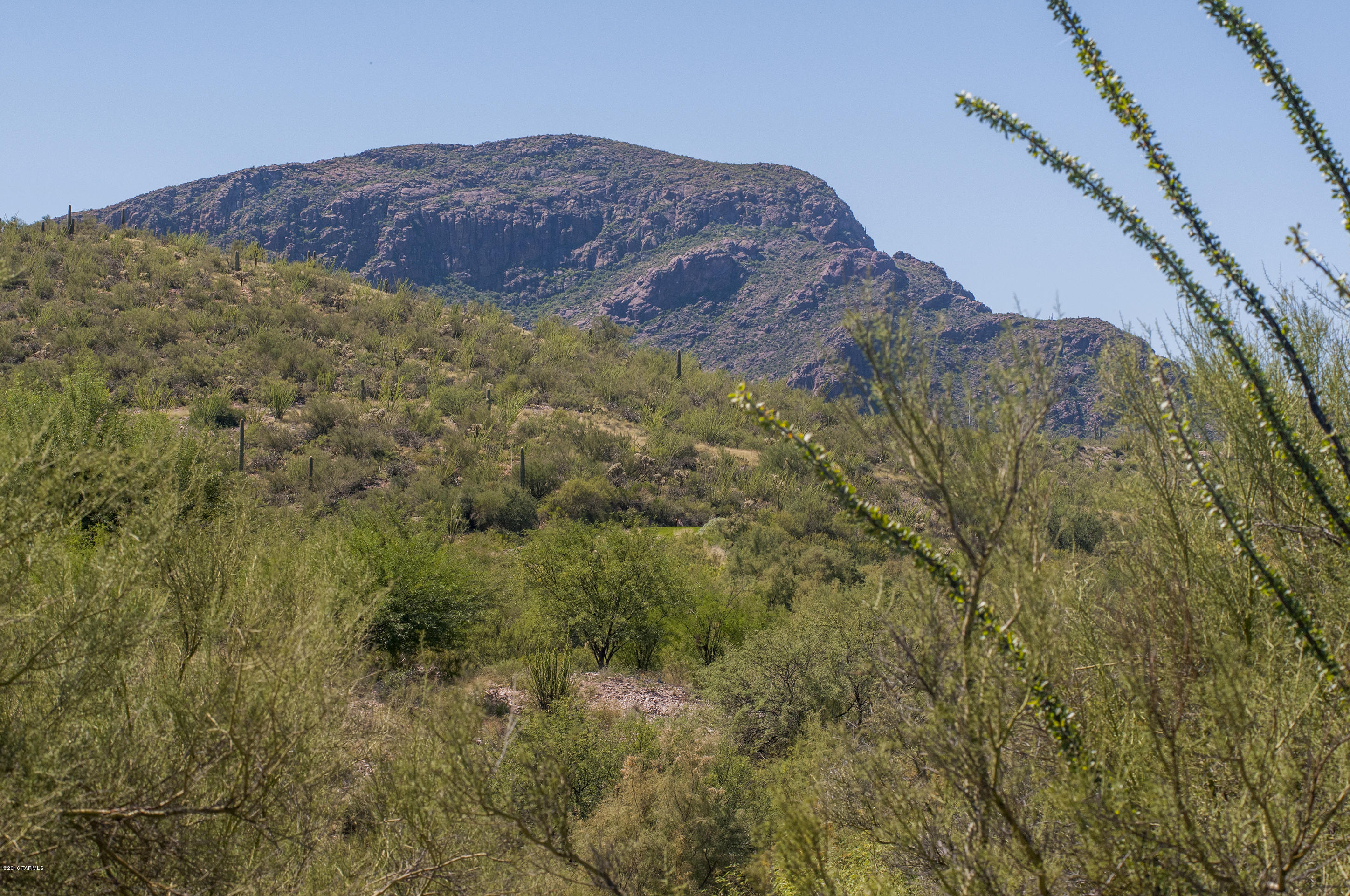 Tohono Ridge (1-21) - Land