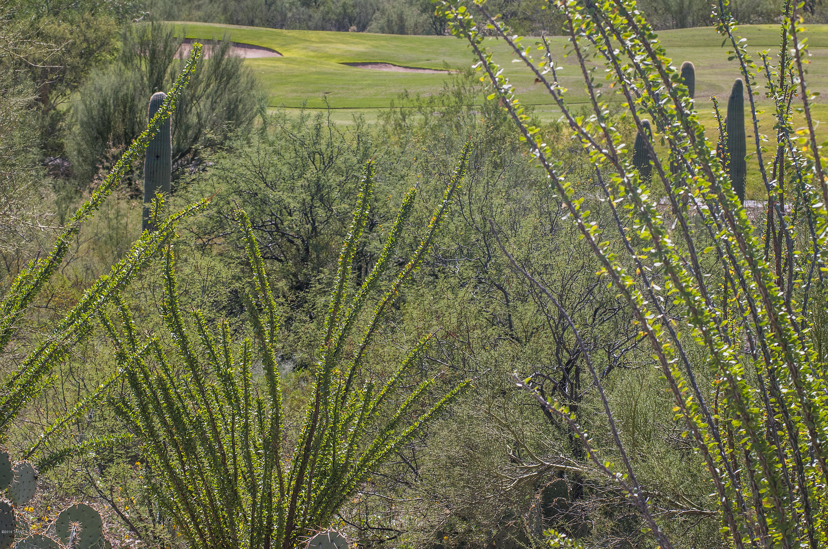 Tohono Ridge (1-21) - Land