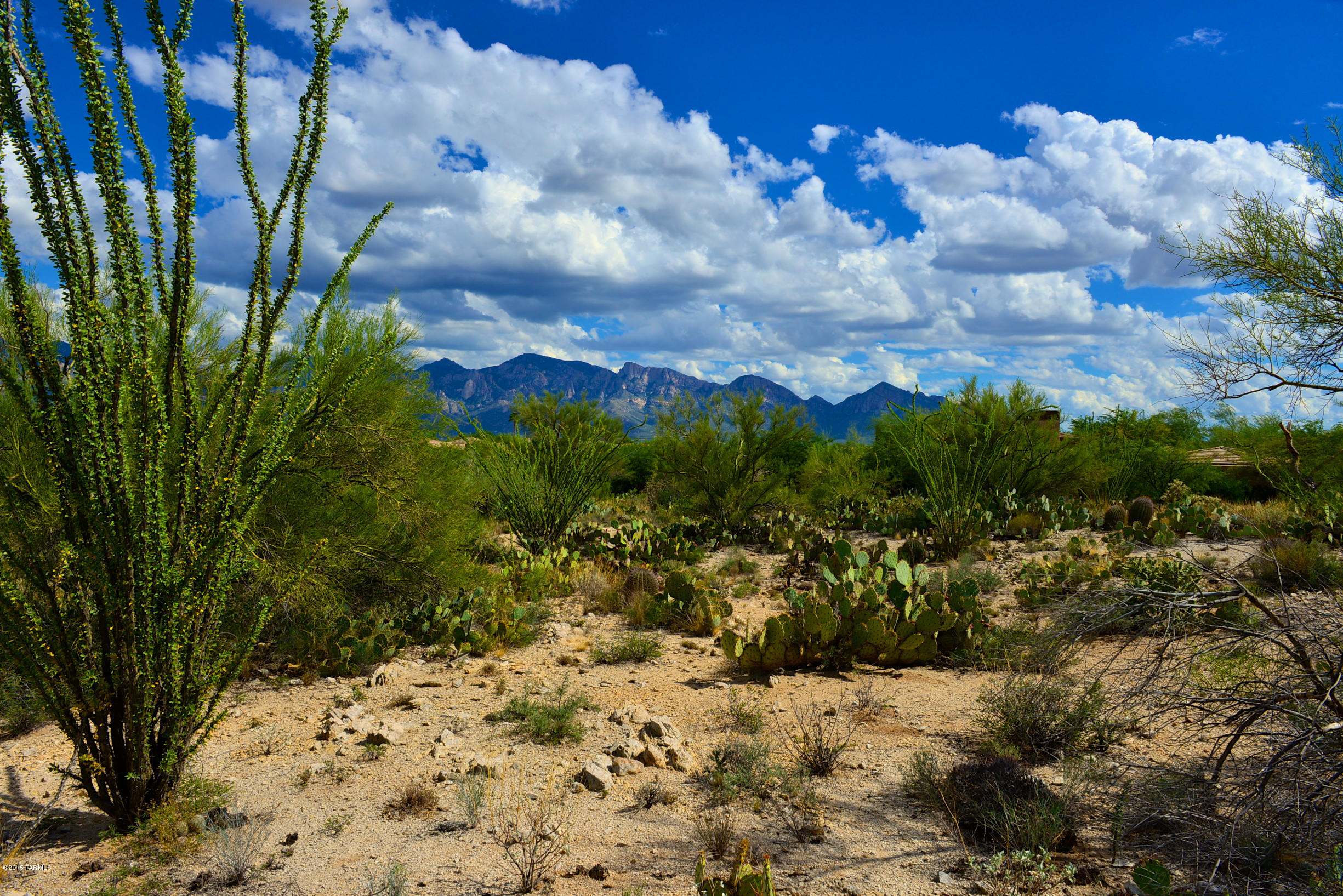 Stone Canyon I - Land
