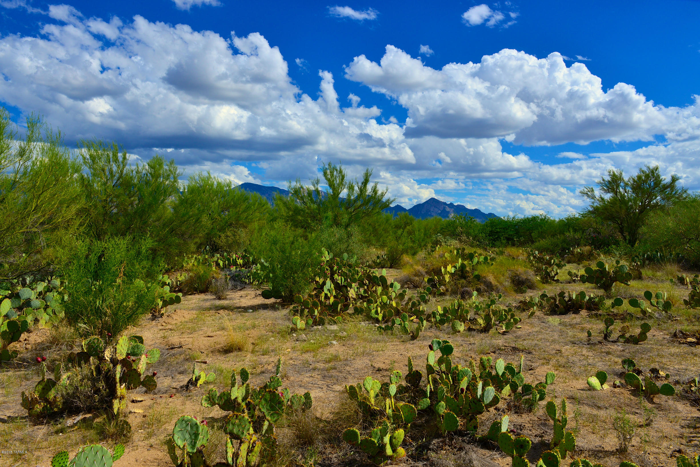 Stone Canyon I - Land