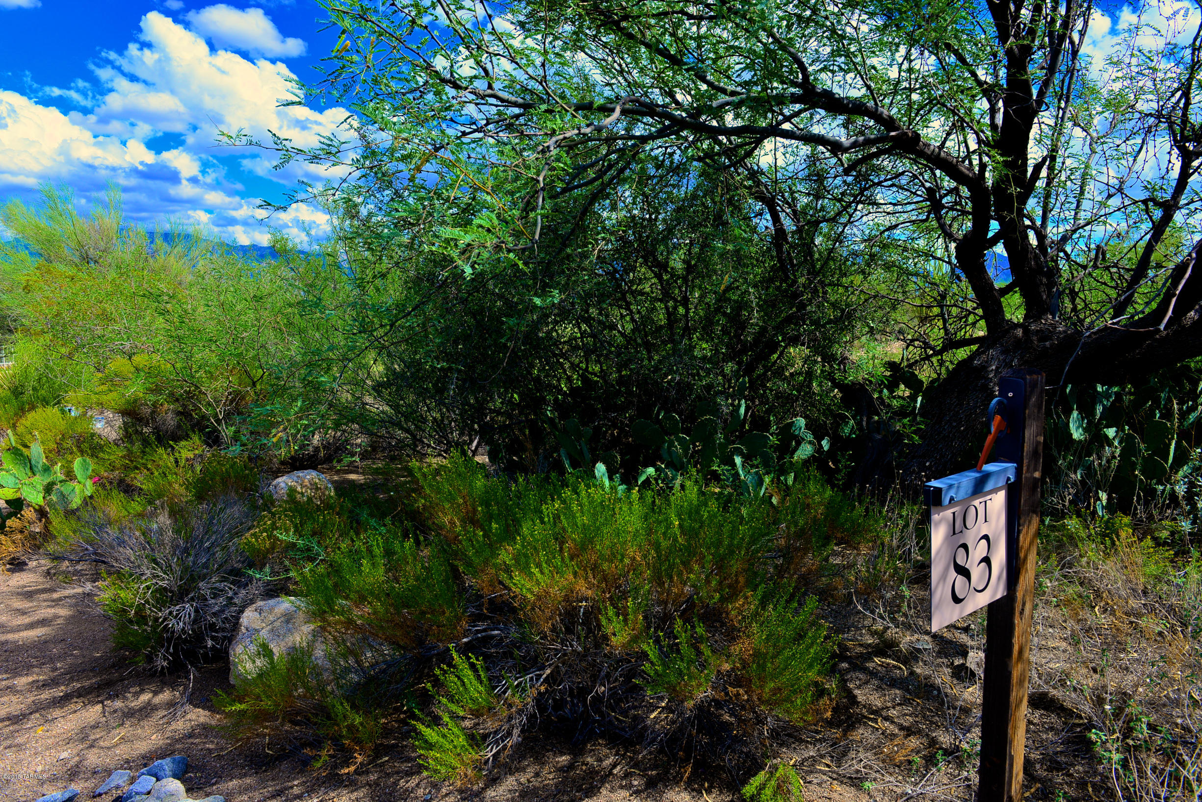 Stone Canyon I - Land