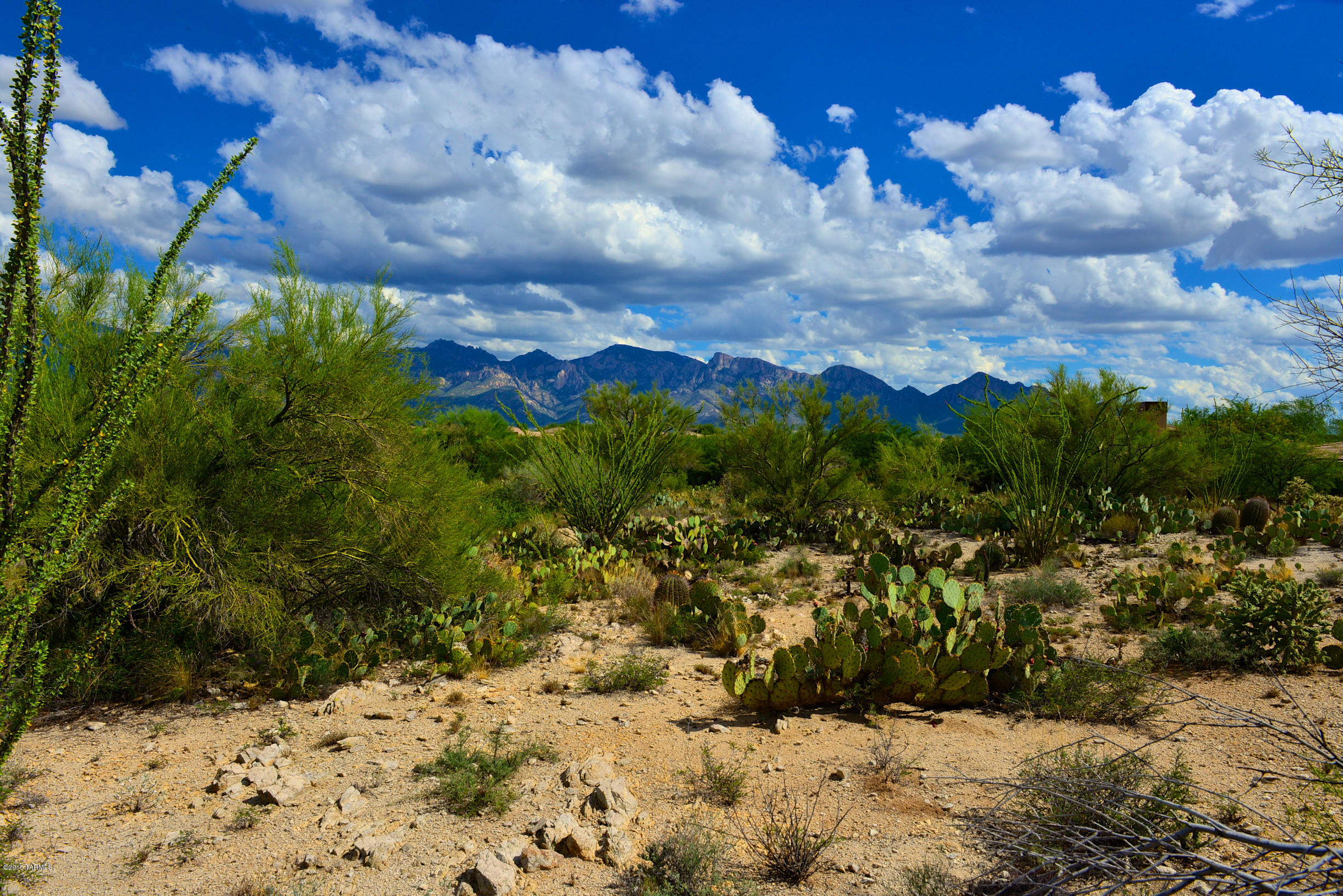 Stone Canyon I - Land