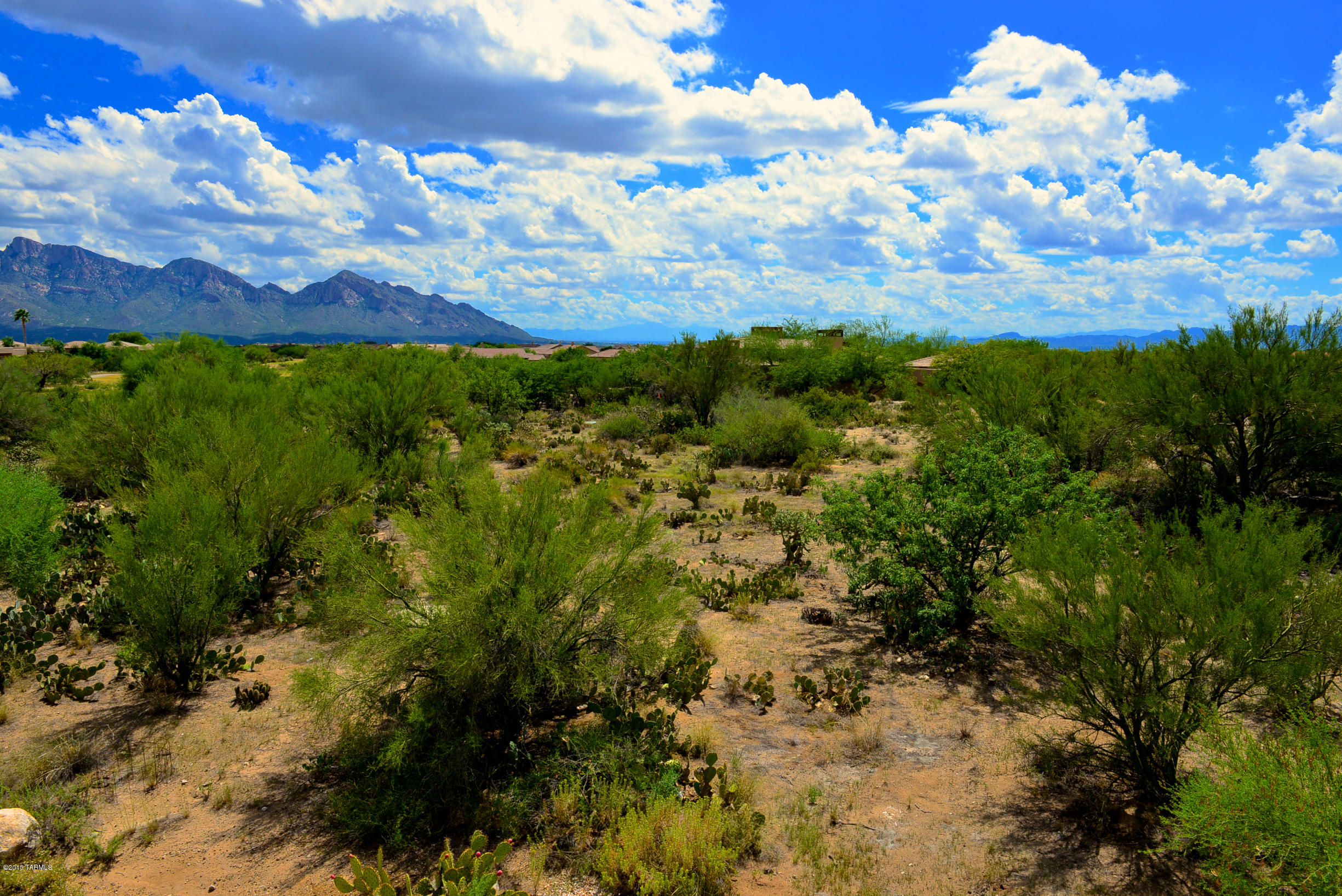 Stone Canyon I - Land