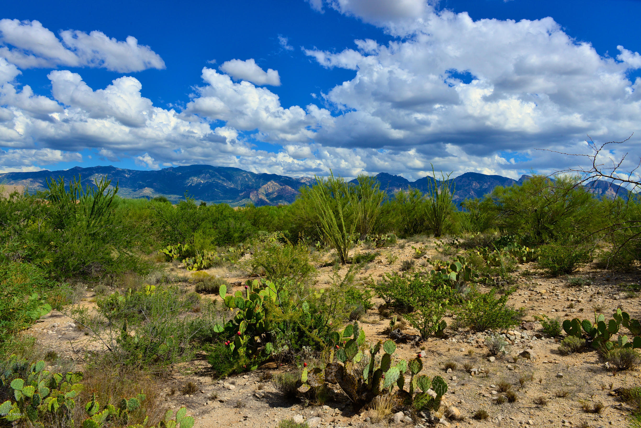 Stone Canyon I - Land