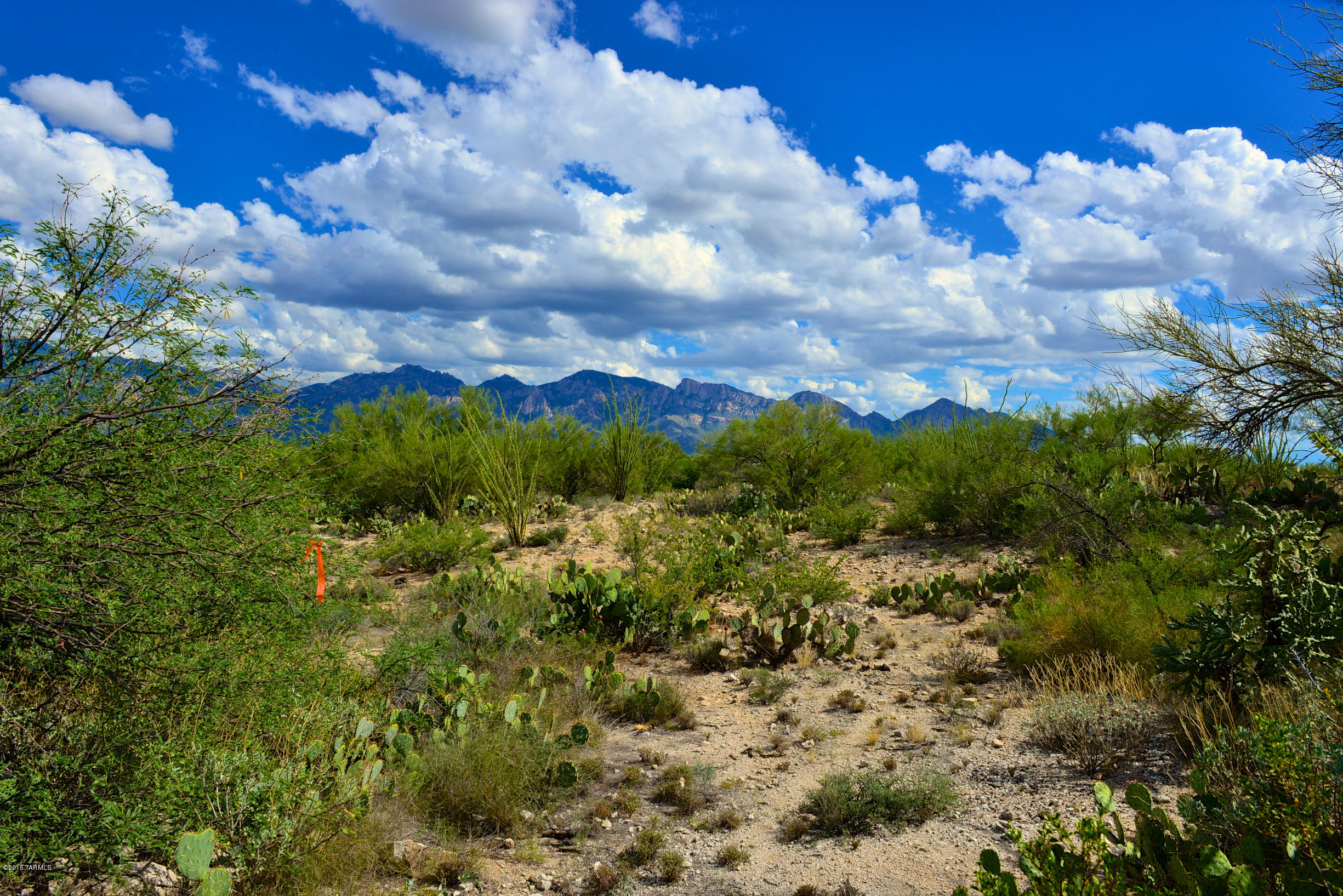 Stone Canyon I - Land