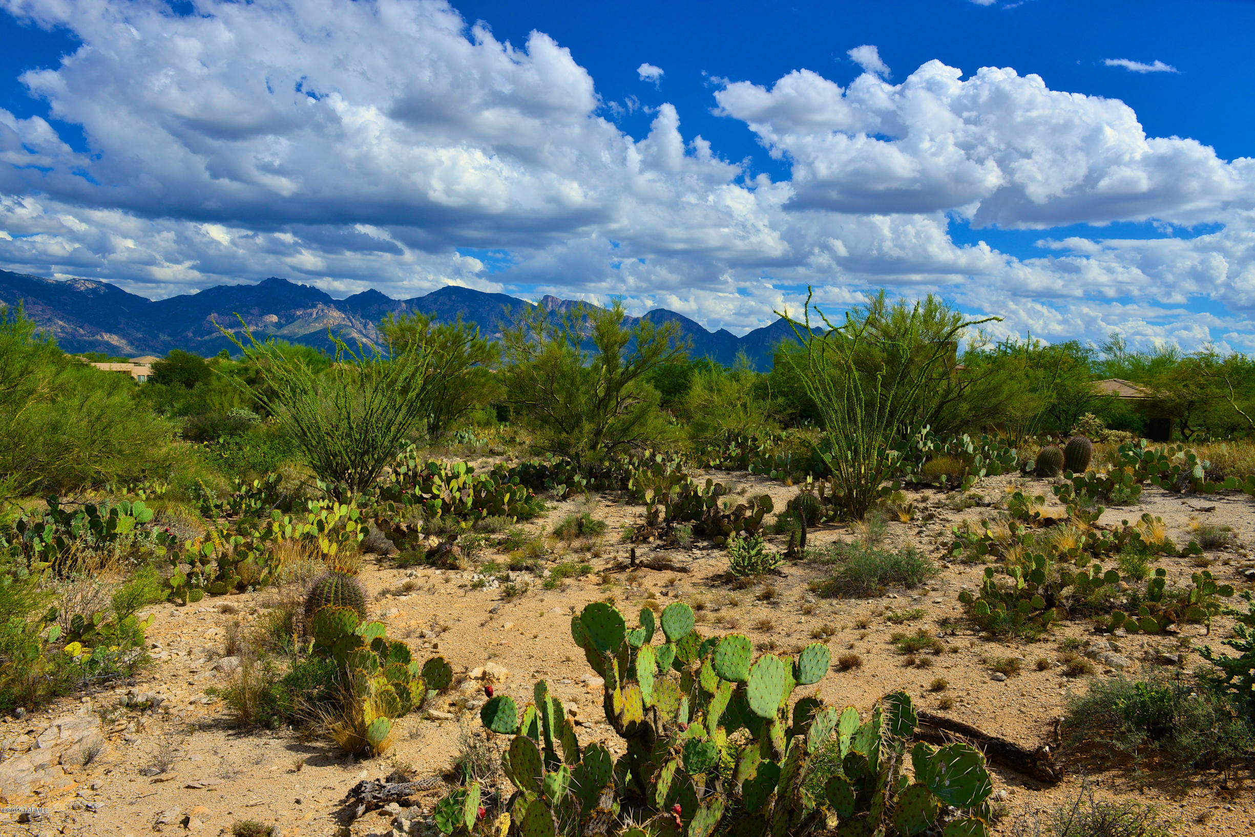 Stone Canyon I - Land