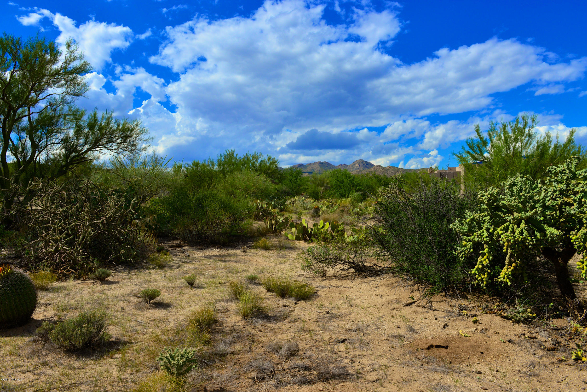 Stone Canyon I - Land