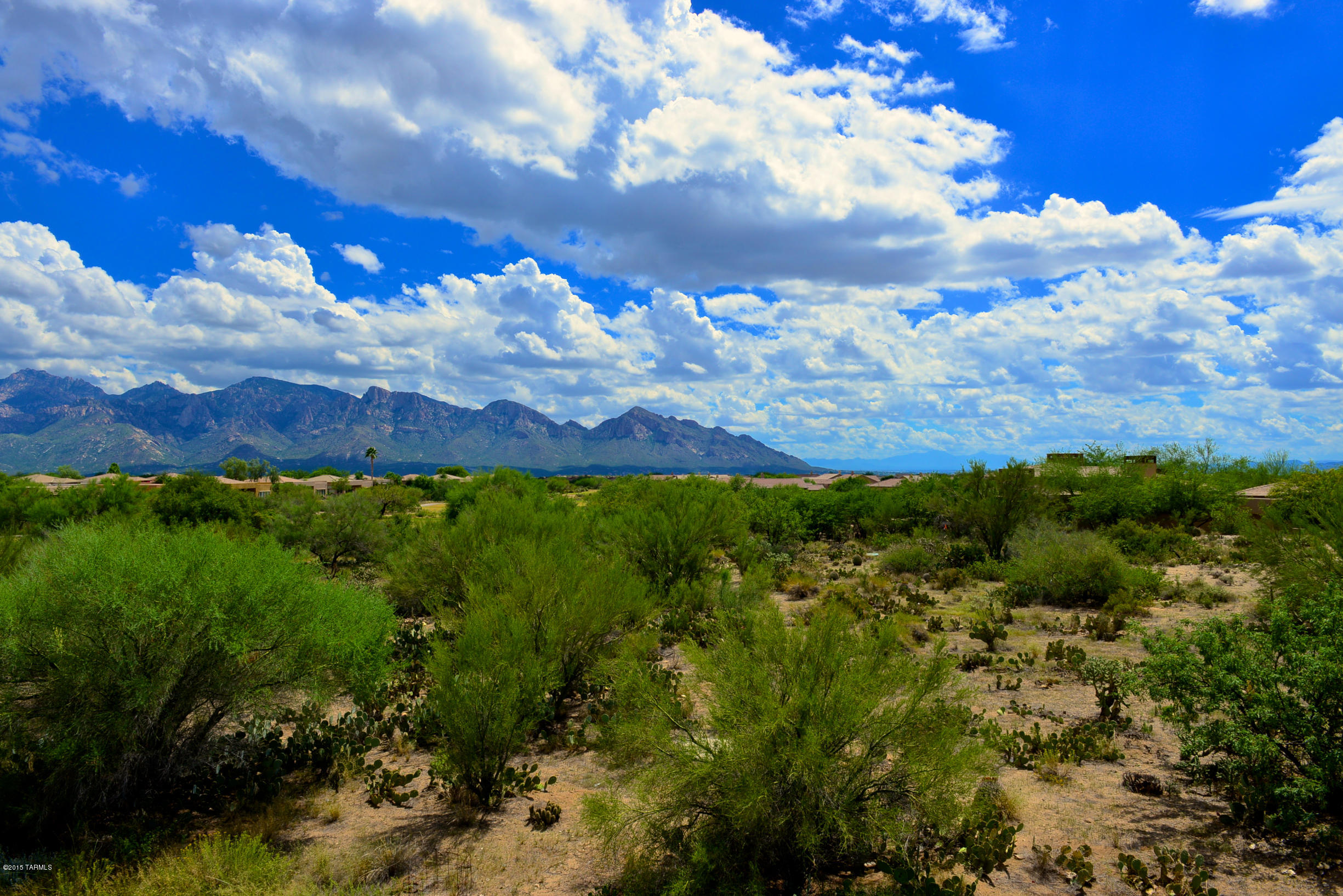 Stone Canyon I - Land