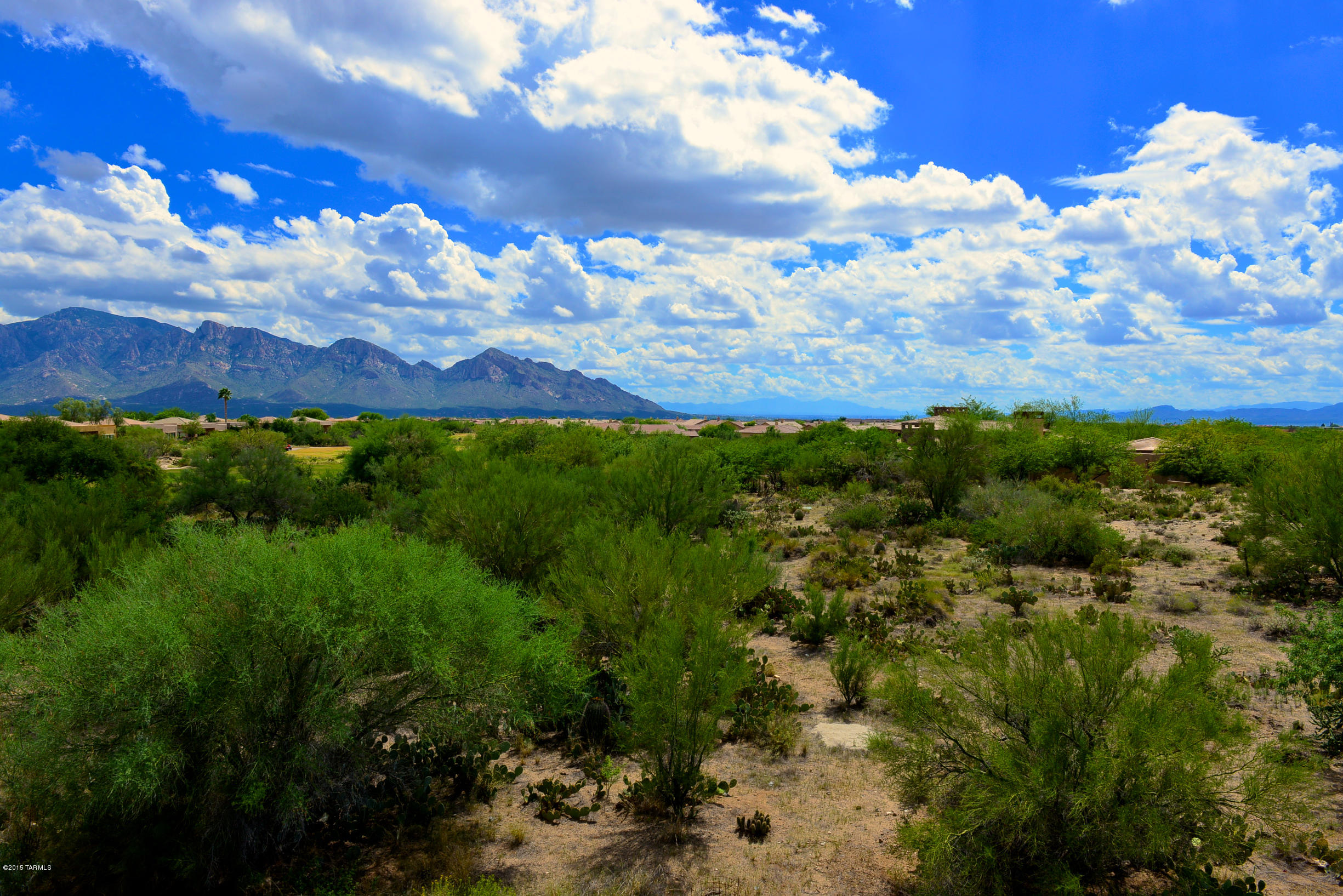 Stone Canyon I - Land