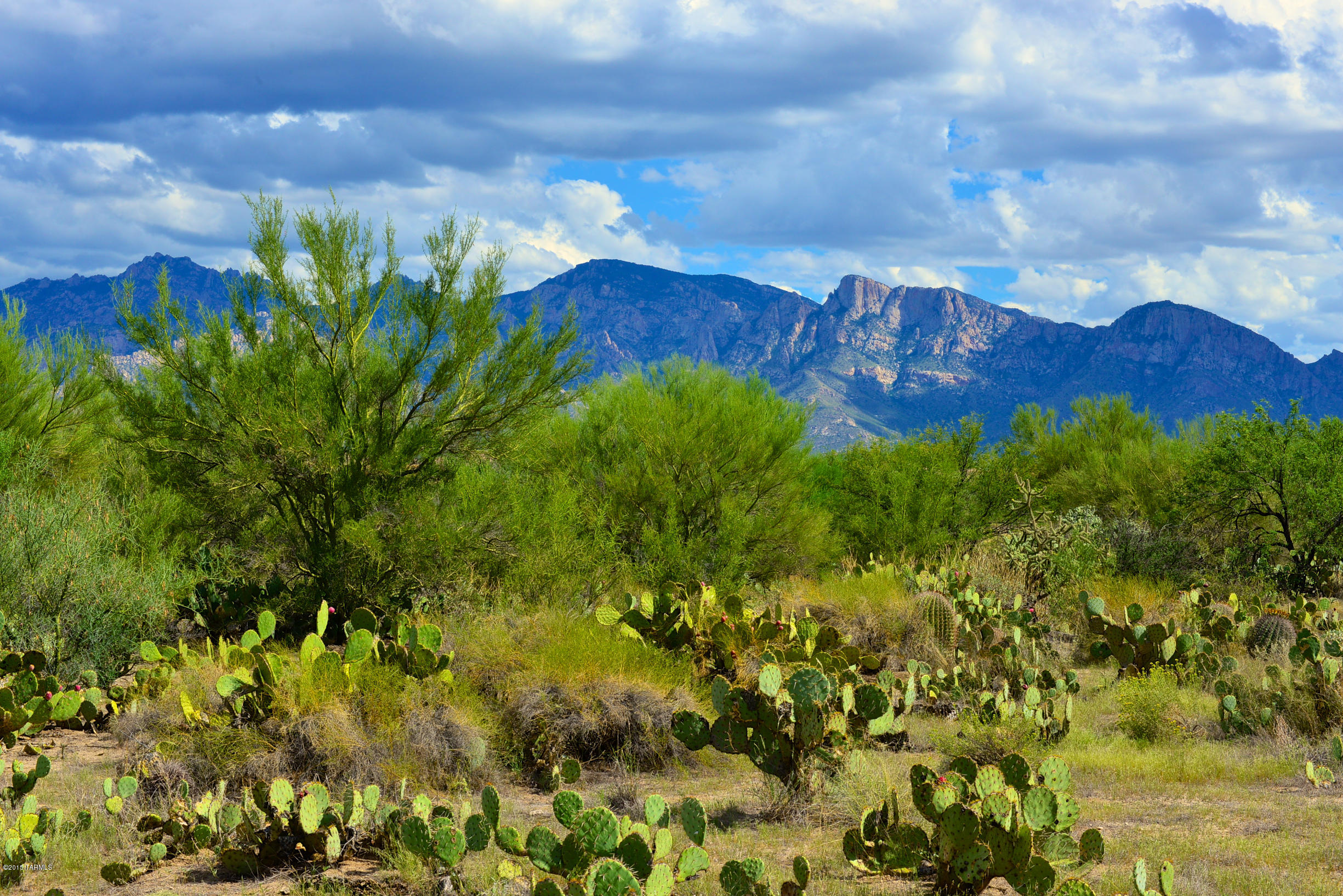 Stone Canyon I - Land