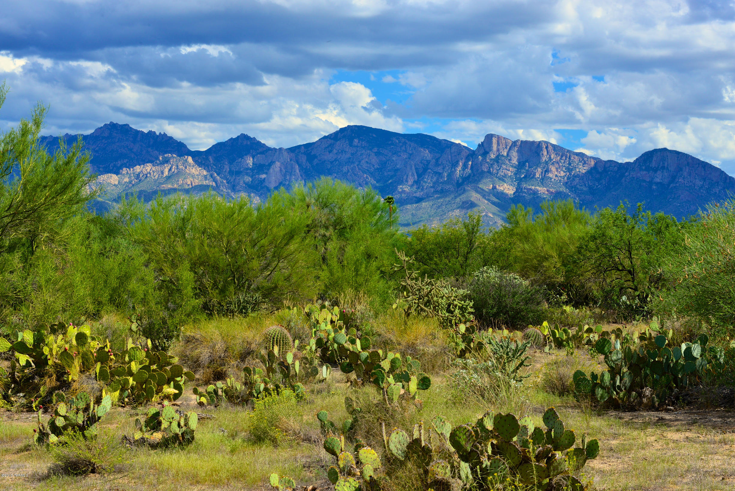 Stone Canyon I - Land