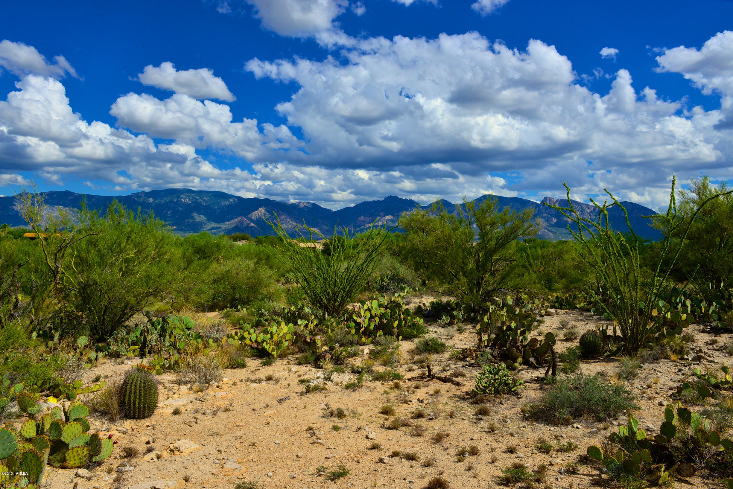 Stone Canyon I - Land