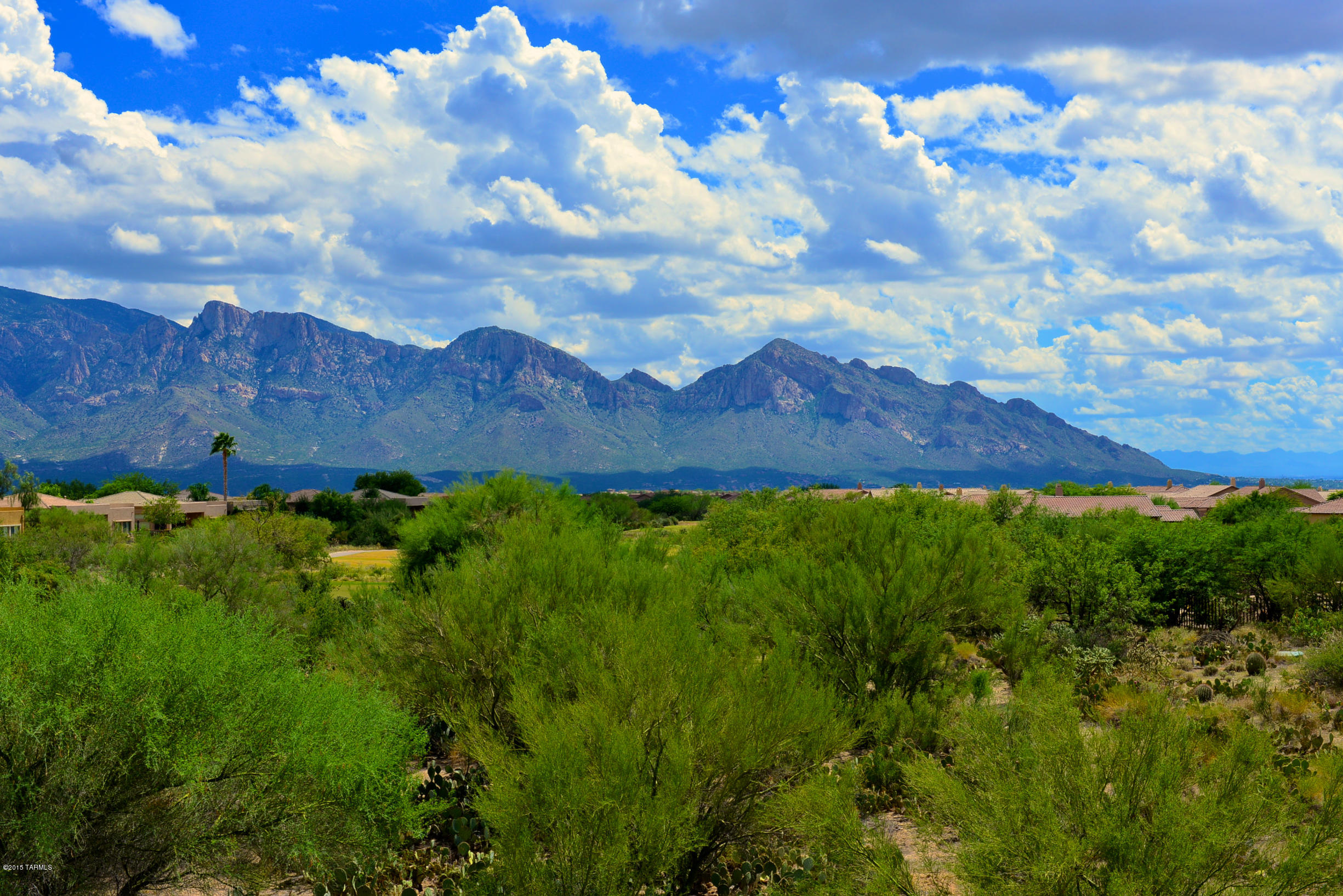 A true sleeper lot is now available for sale! Spacious custom 1.2 ac lot located in prestigious Stone Canyon golf community on quiet cul-de-sac.  Gently sloping lot offering unobstructed views of the Santa Catalina Mountains to the east with golf course providing a added privacy. Come and walk for yourself it is truly beautiful.Surrounding lots are already built. Membership is required with purchase.  Build when ready.Only lot #83 is for sale.
New assessor number will be assigned prior to closing at Sellers expense.  Owner is a licensed Arizona Real Estate Agent