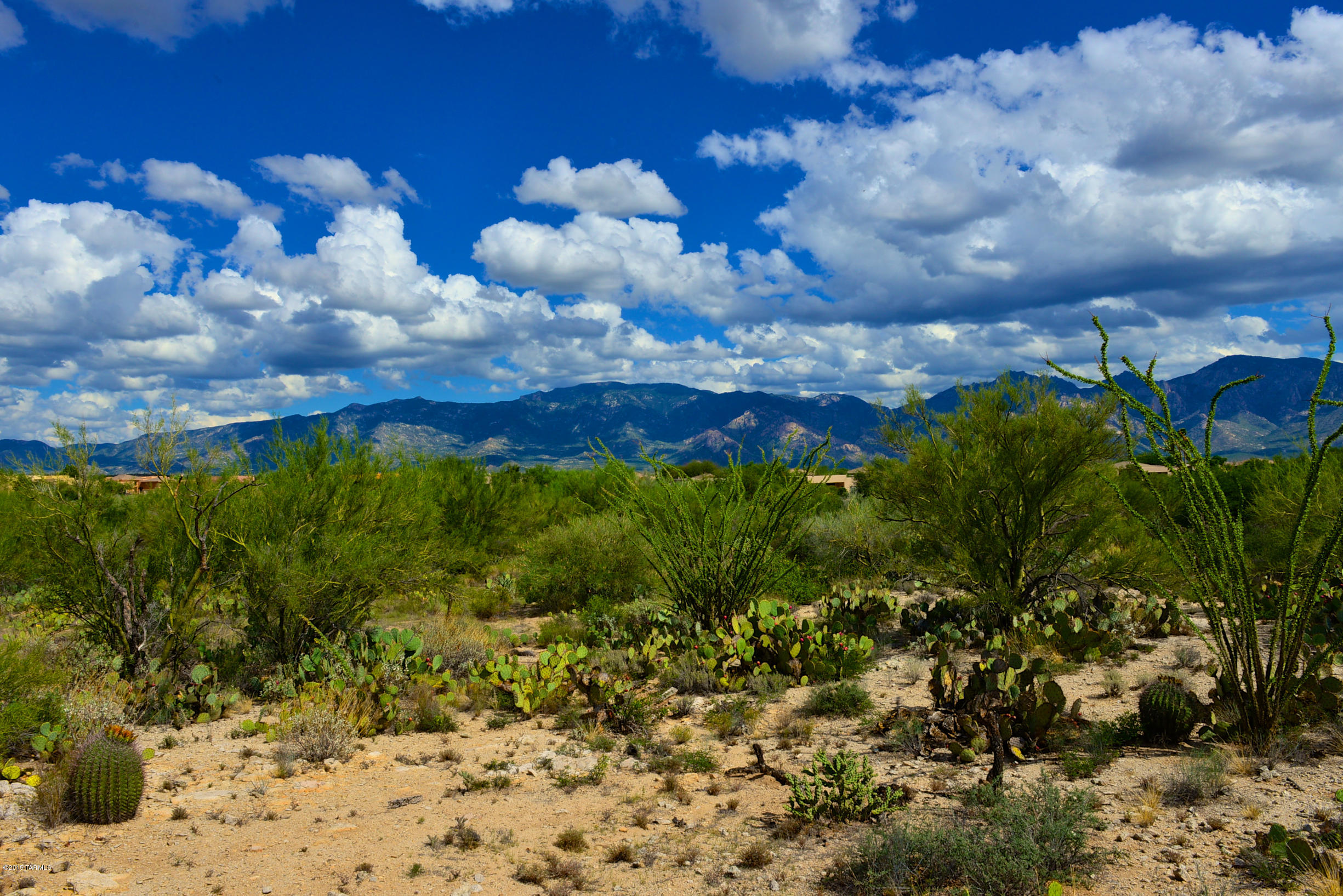 Stone Canyon I - Land