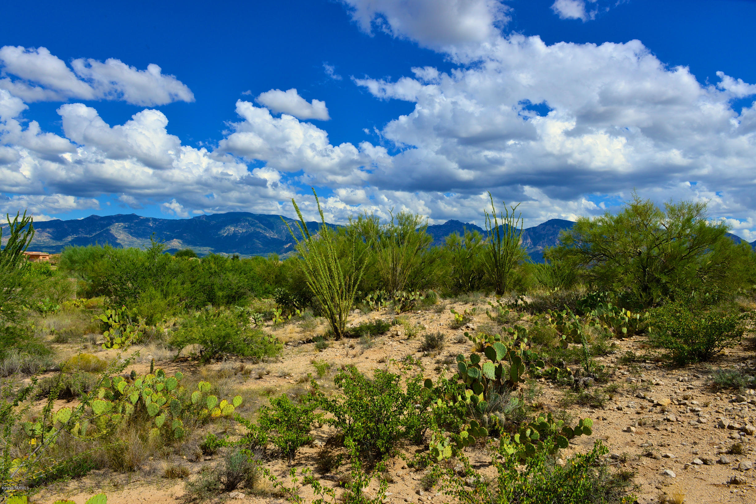 Stone Canyon I - Land