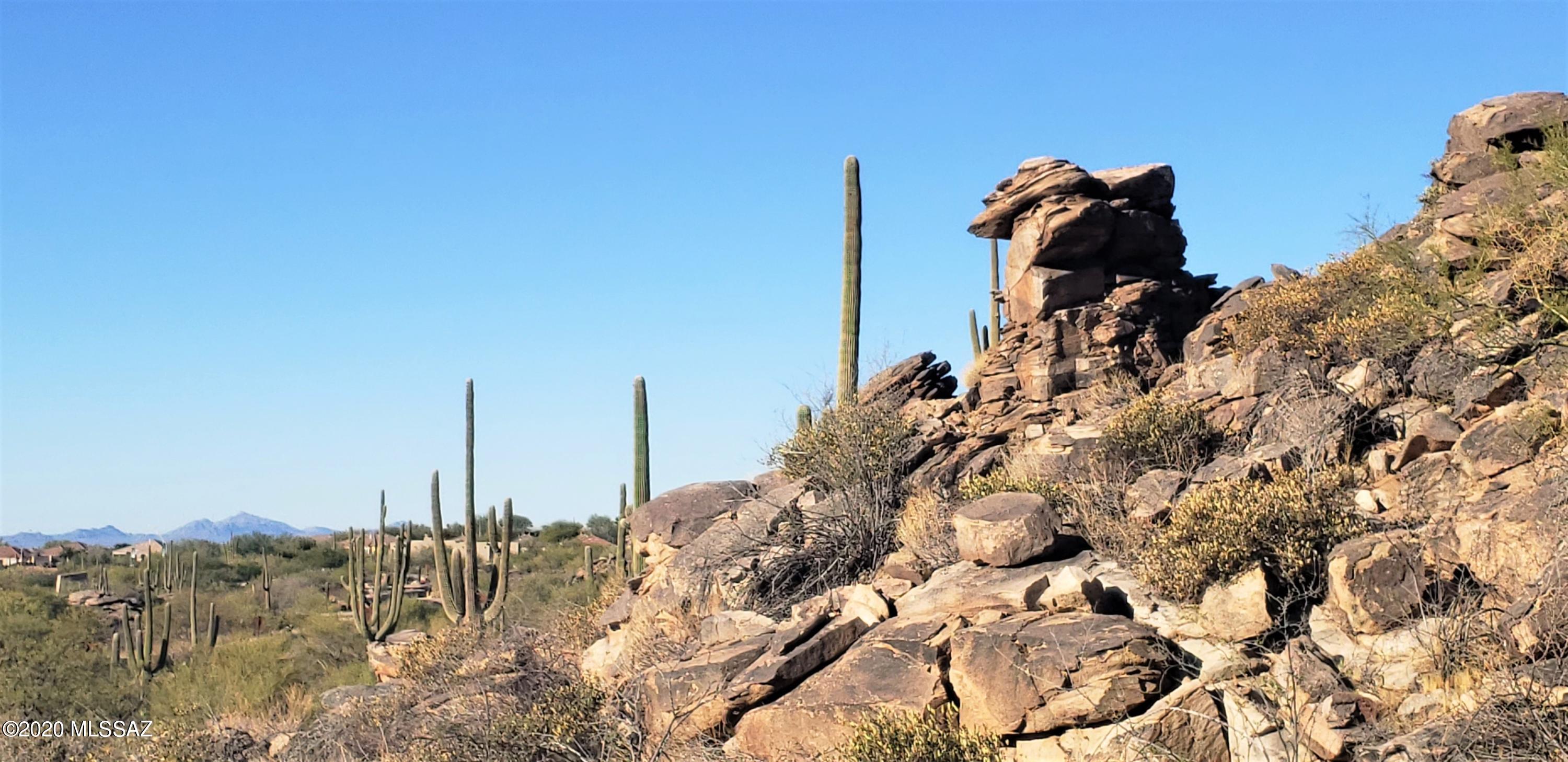 Canyon Pass IV-B At Dove Mountain - Land