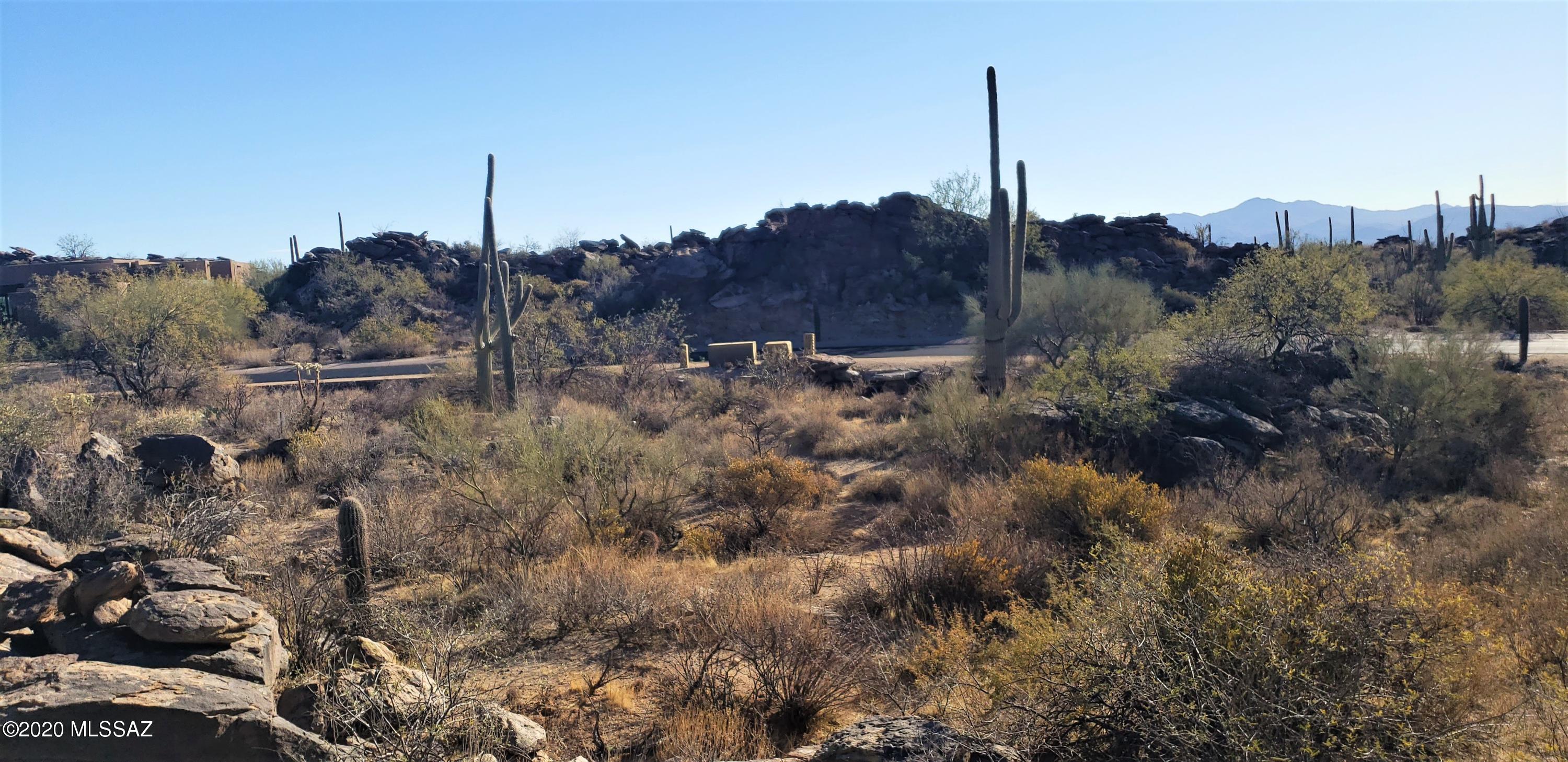 Canyon Pass IV-B At Dove Mountain - Land
