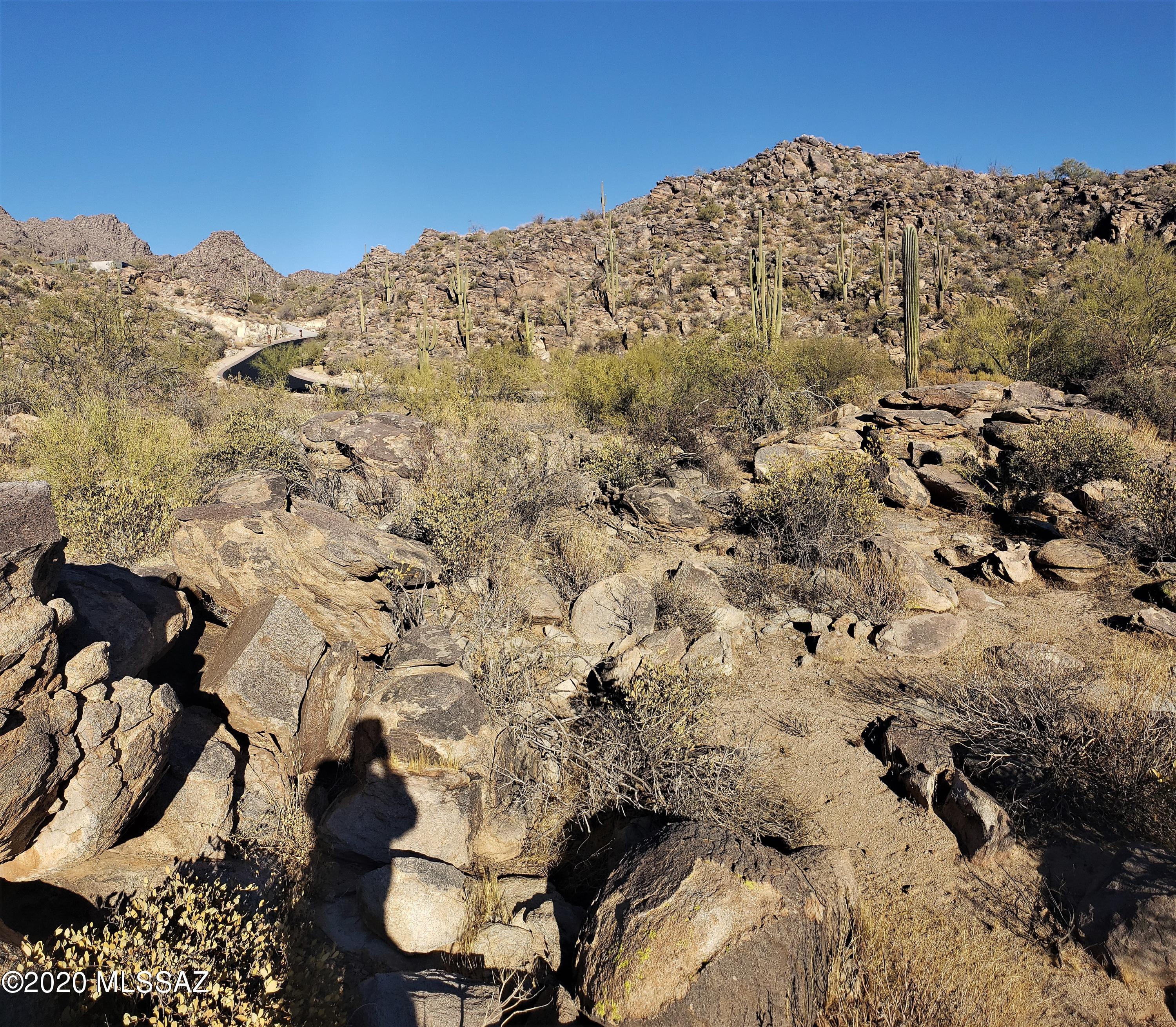 Canyon Pass IV-B At Dove Mountain - Land