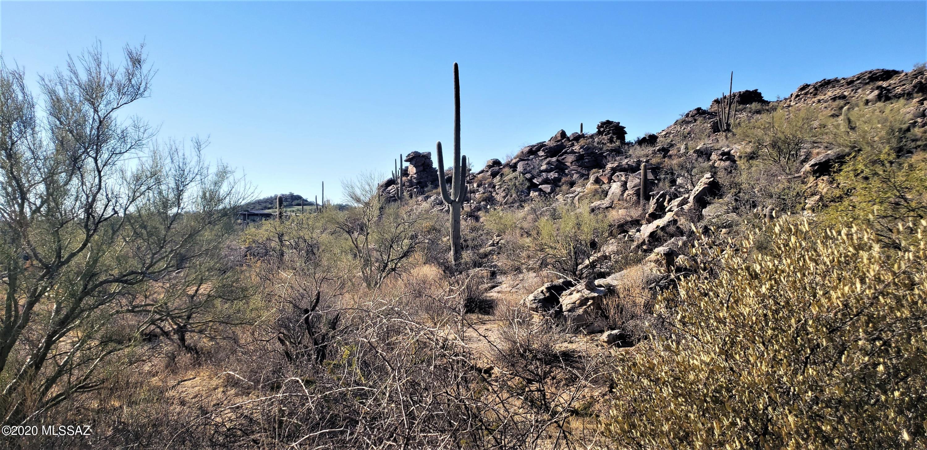 Canyon Pass IV-B At Dove Mountain - Land