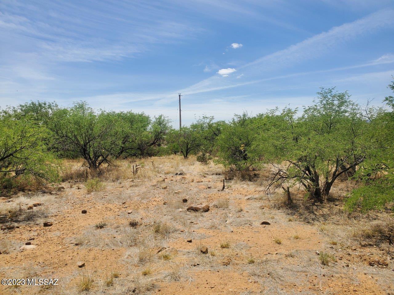 Rio Rico Estates 16 - Land