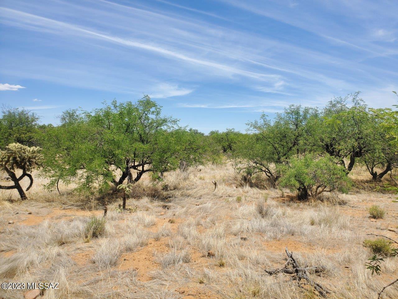 Rio Rico Estates 16 - Land