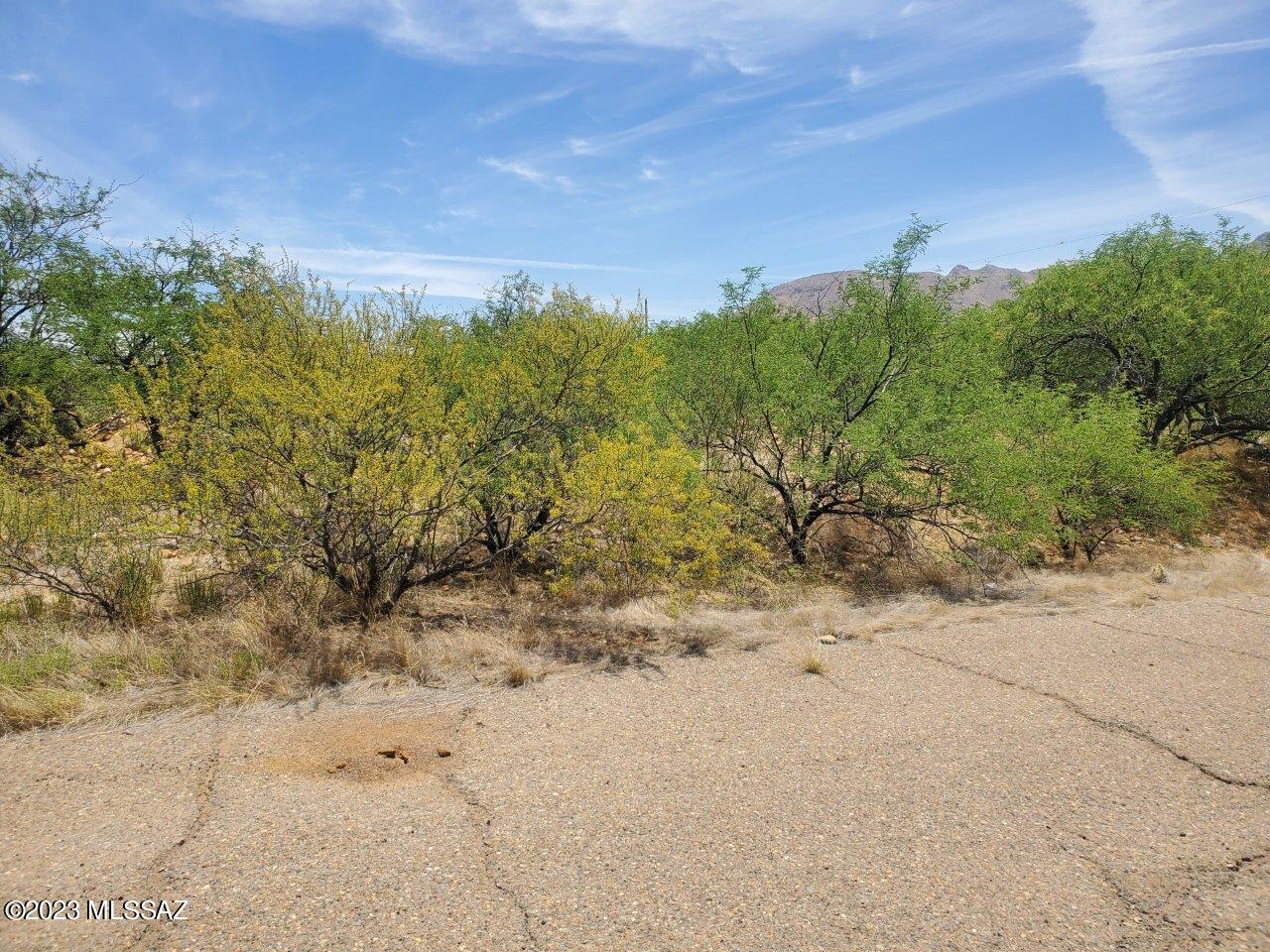 Rio Rico Estates 16 - Land