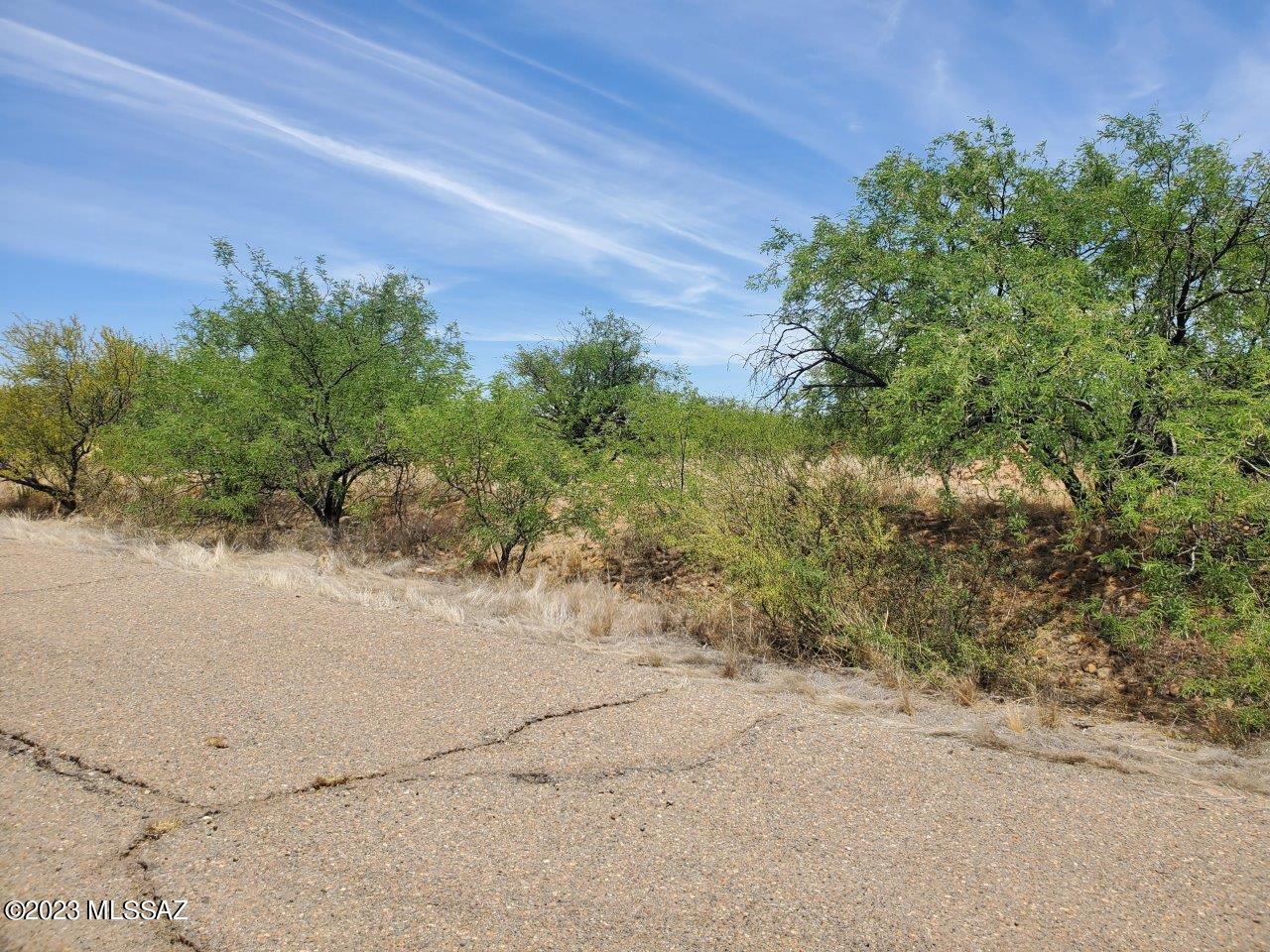Perc Test Passed. Great flat 0.47 acre lot with 360 degree views and amazing desert vegetation in Rio Rico, Arizona. Water is available but a main extension of +/- 900 ft required, septic is required. Located a few minutes east of I-19 in a beautiful area with very few neighbors. Paved roads. No HOA. No flood issues. Owner/Agent