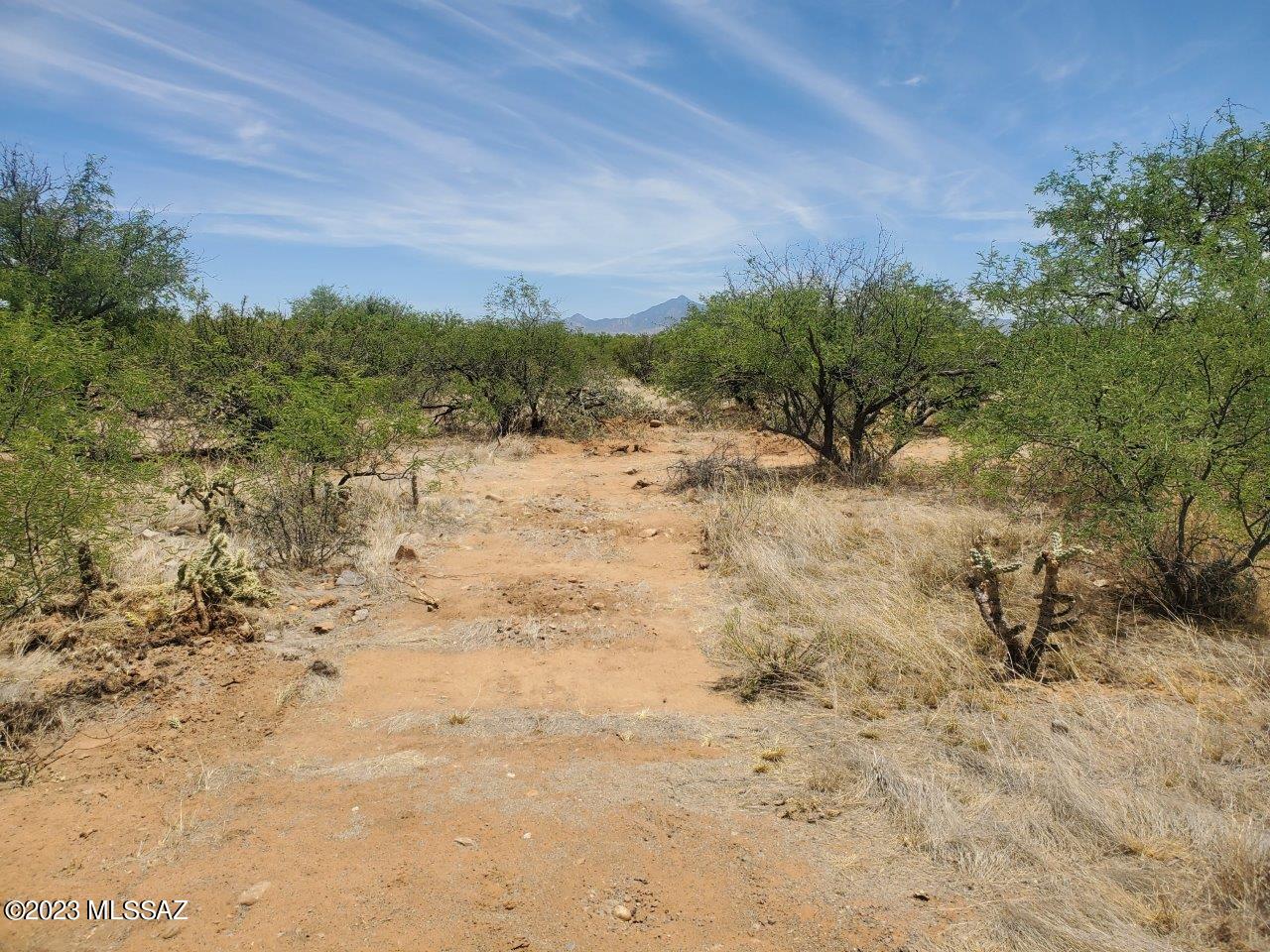 Rio Rico Estates 16 - Land