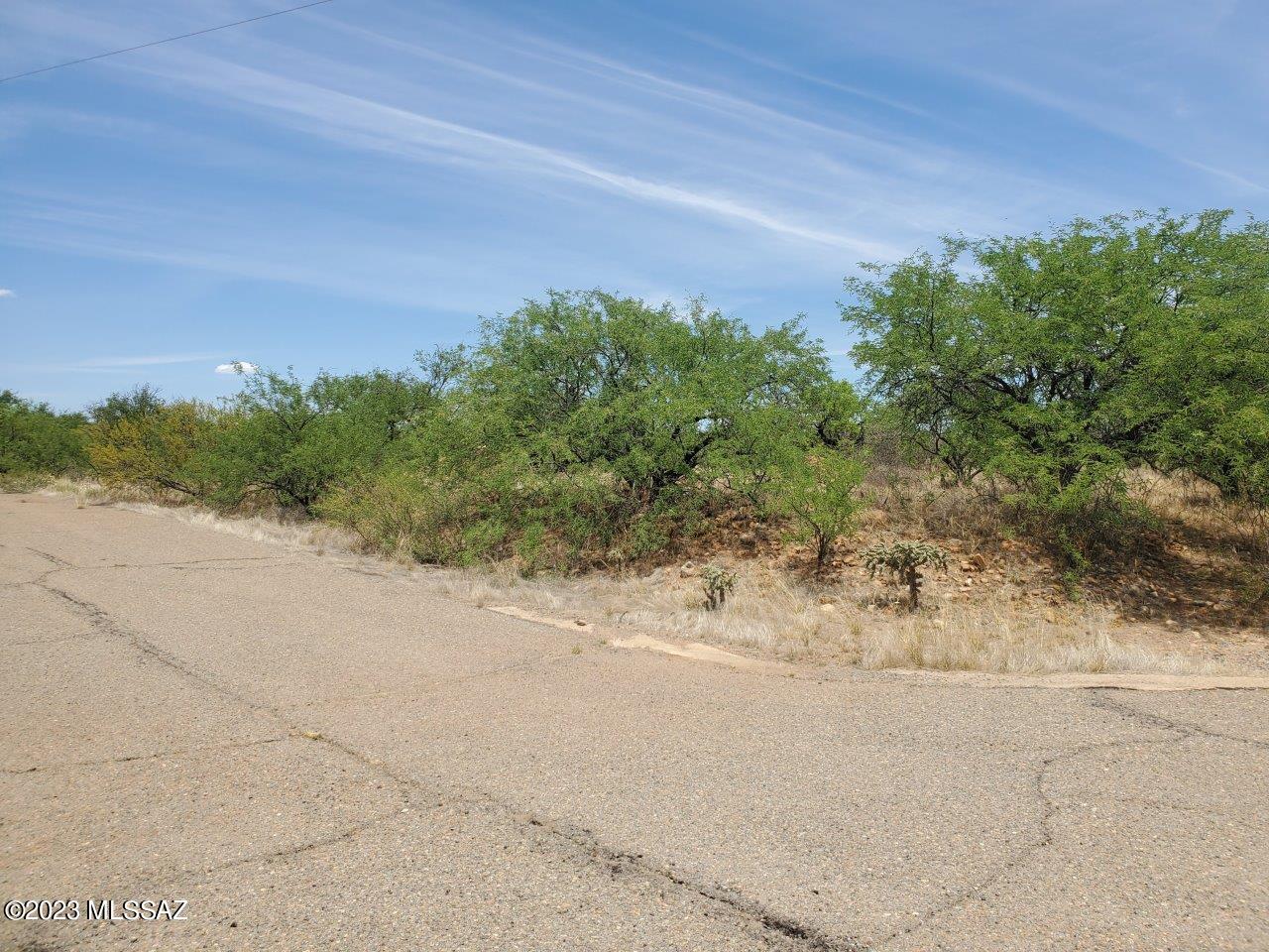 Rio Rico Estates 16 - Land