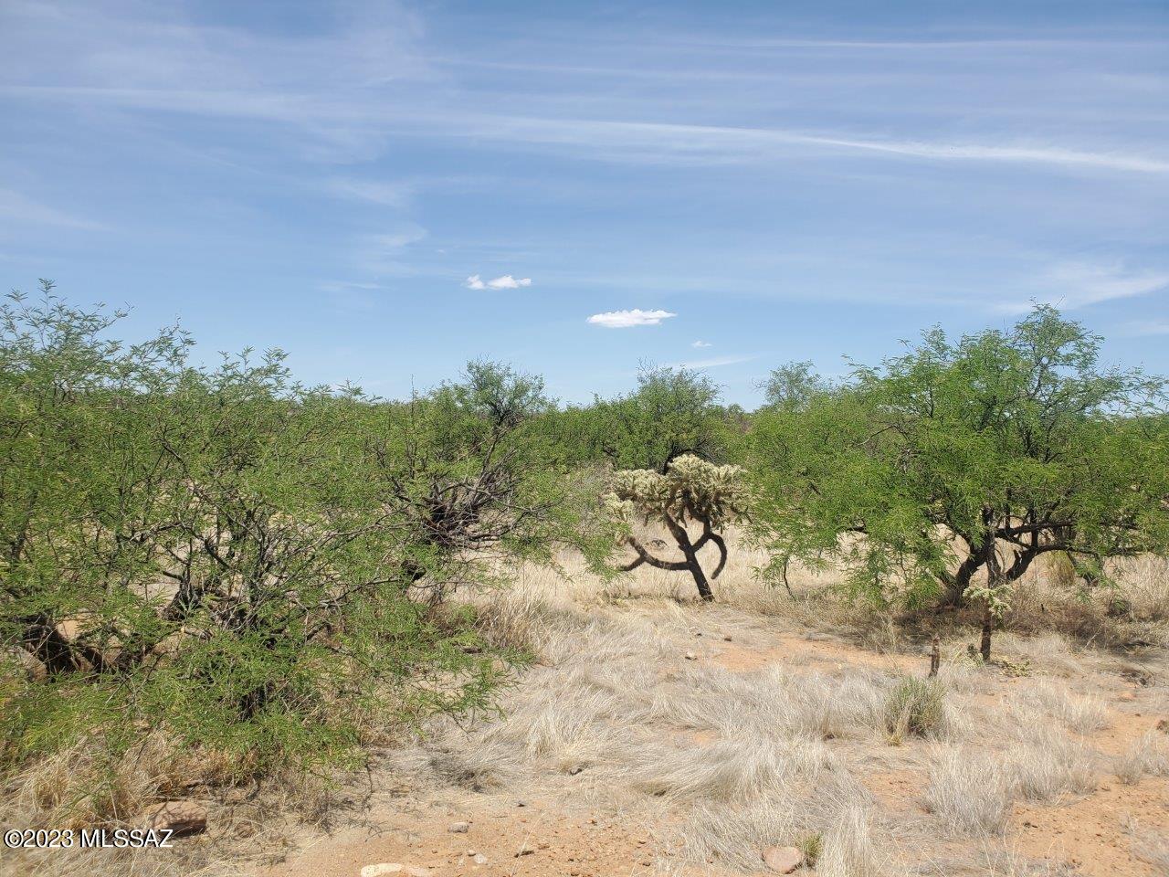 Rio Rico Estates 16 - Land