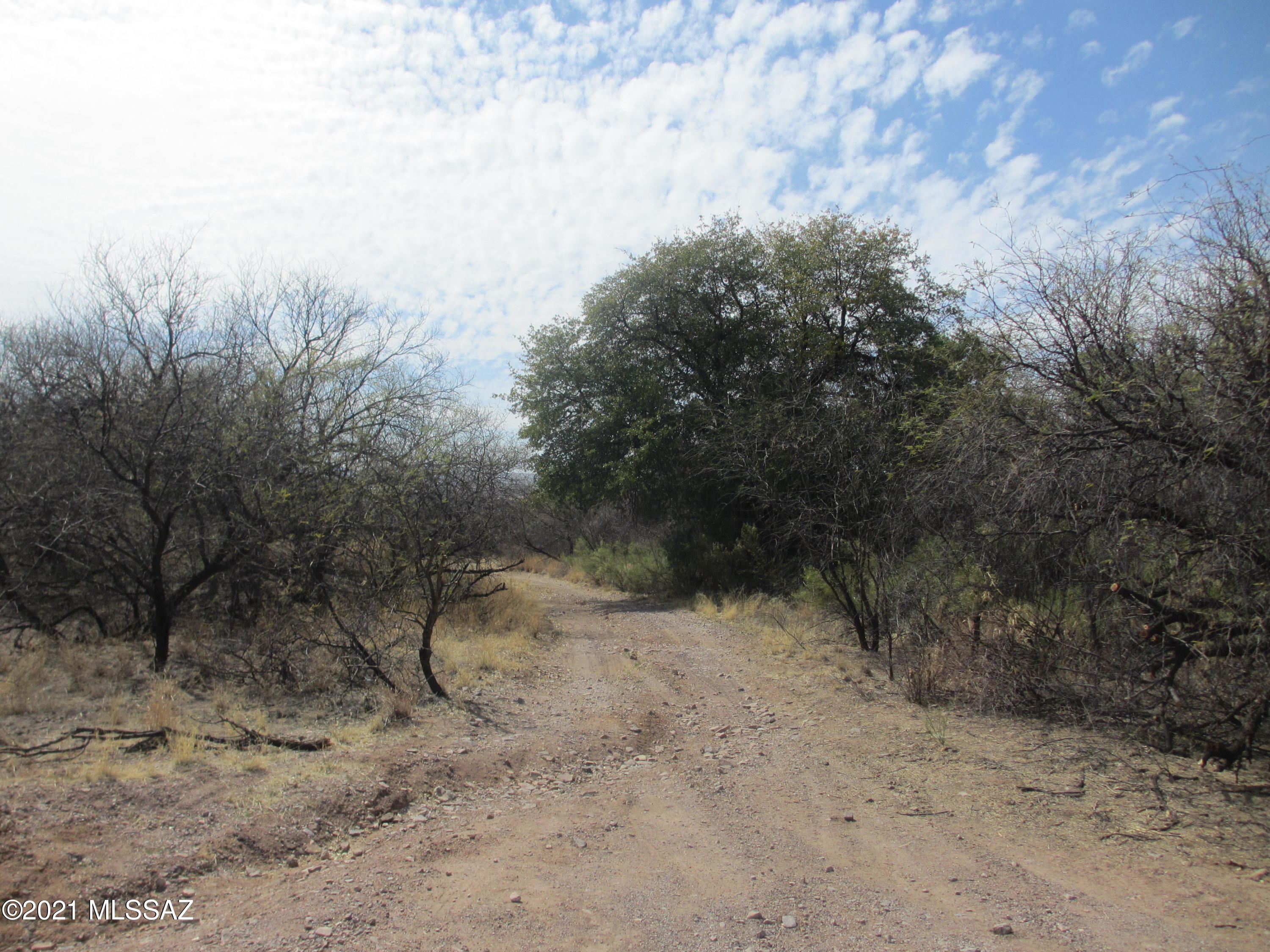 Royal Road - Land