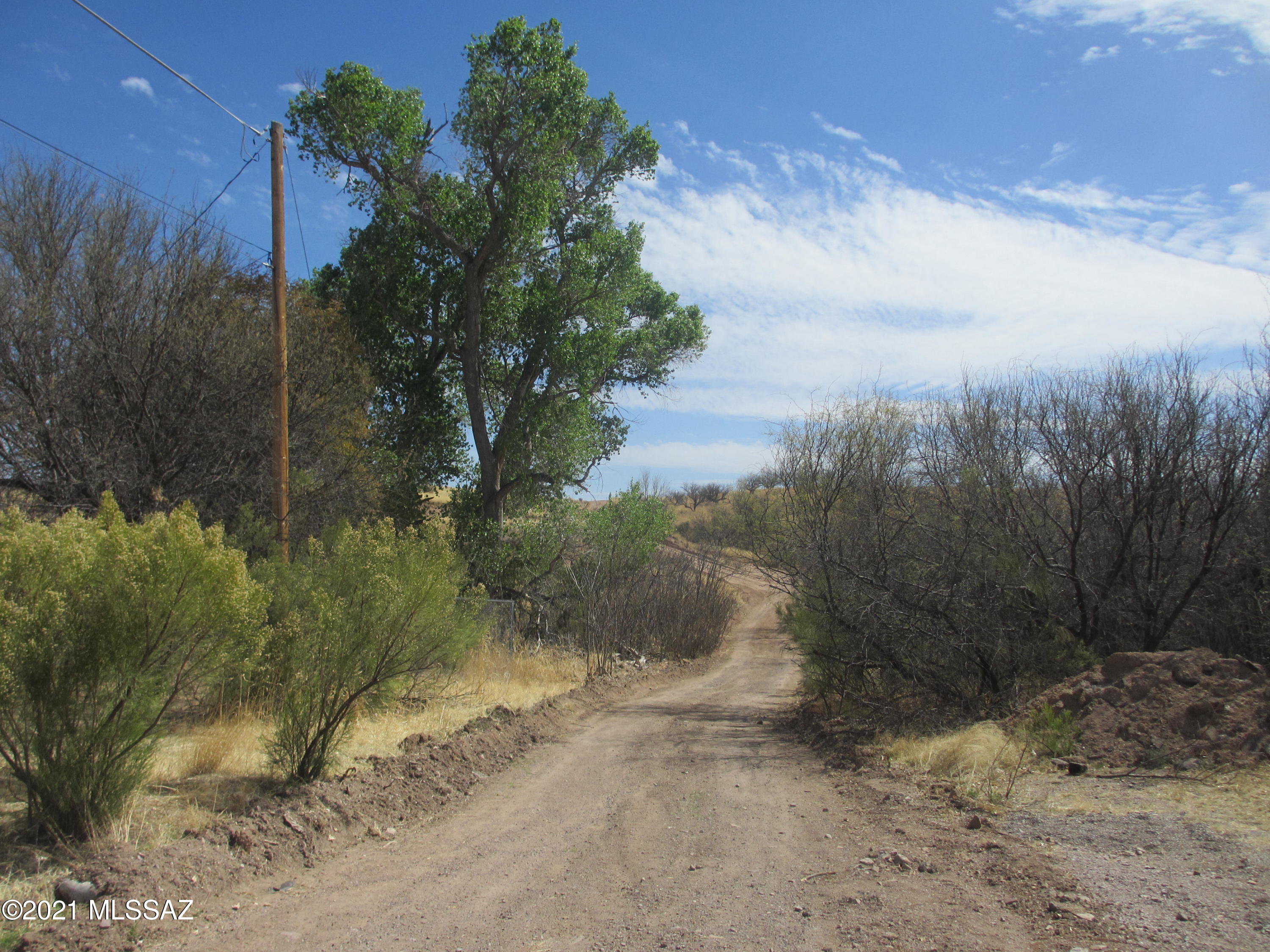 Royal Road - Land