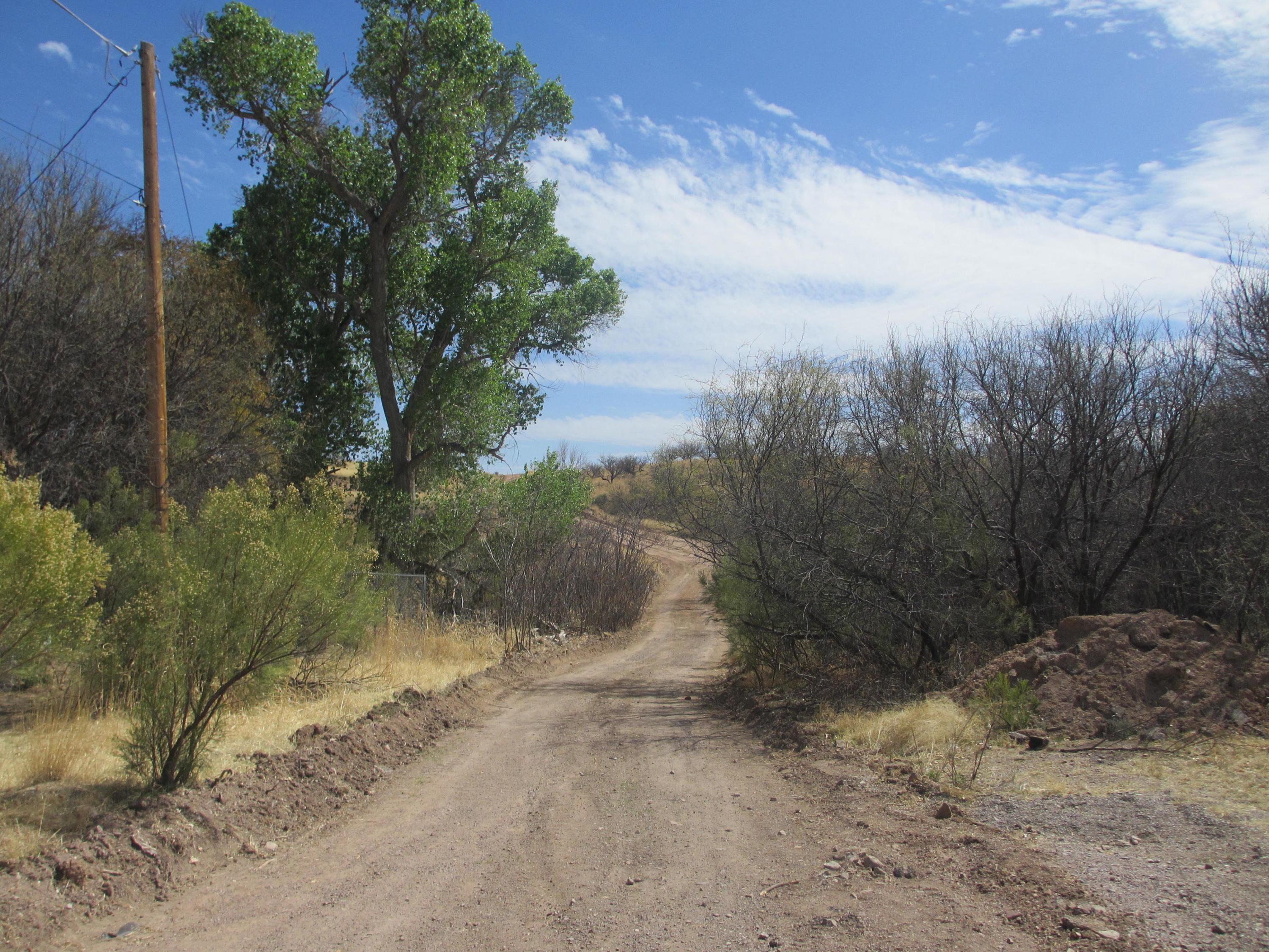 A beautiful cluster of 16 lots in Royal Road Terraces on the outskirts of Nogales.  There ae magnificent view and nice building sites on these parcels totalling 12.26 acres !
