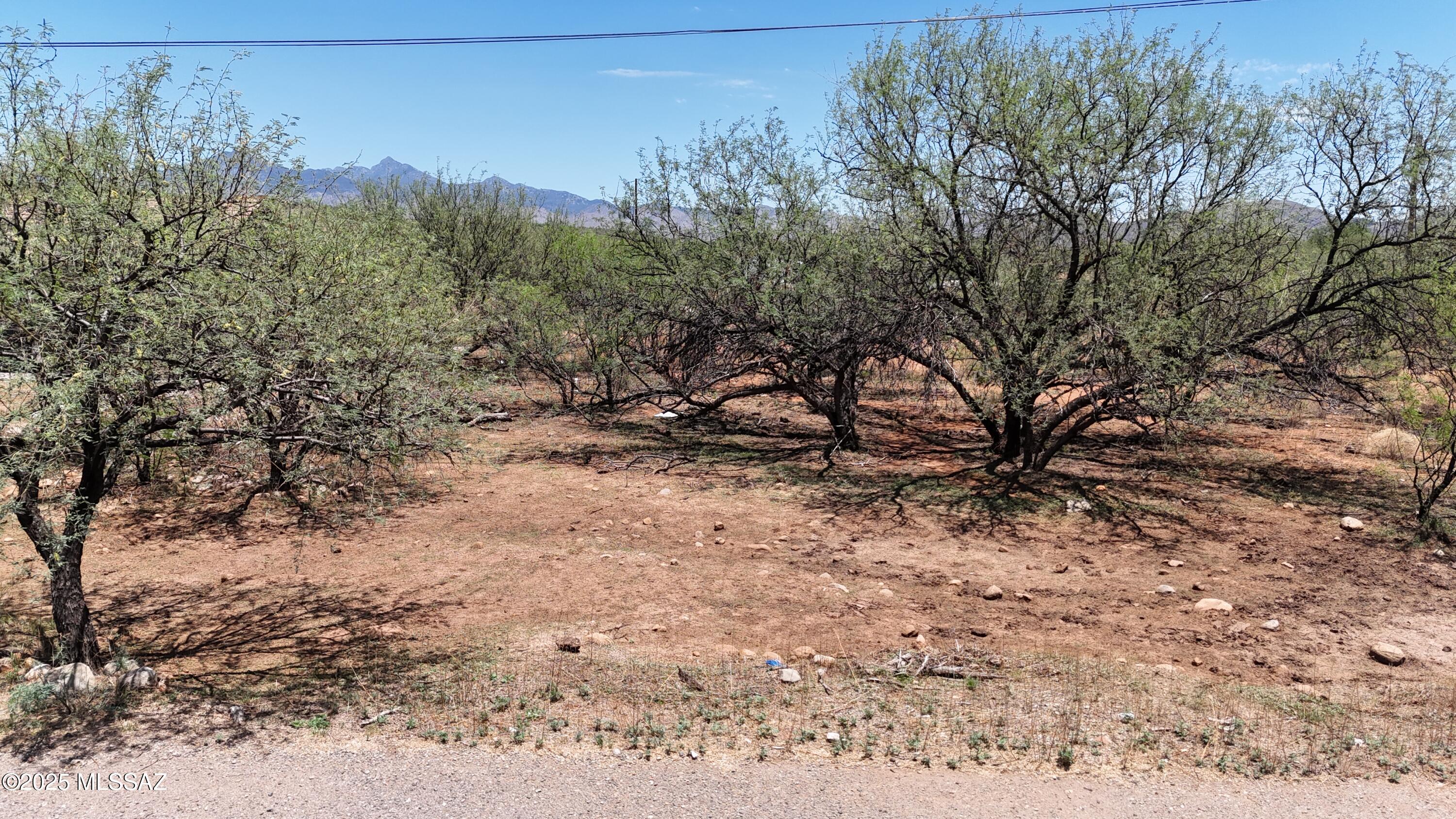 Rio Rico Villas 12 - Land