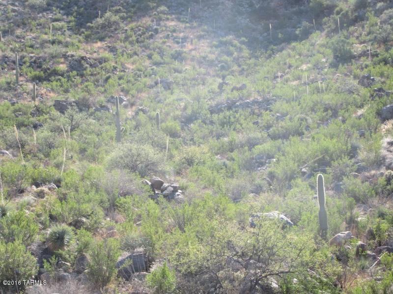 Canyon Pass At Dove Mountain(1-48) - Land